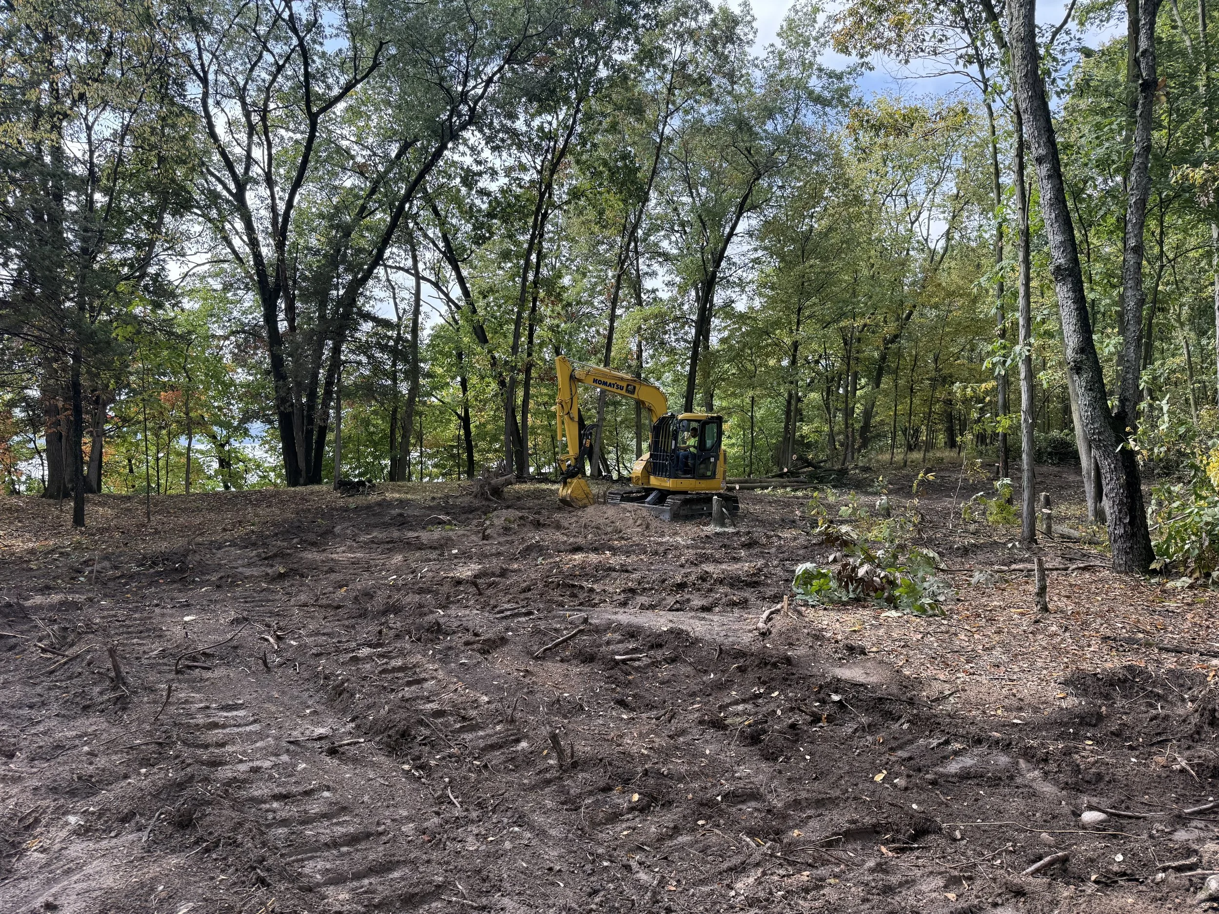 A small yellow excavator working on a dirt slope in a forest with many tall trees and green foliage.