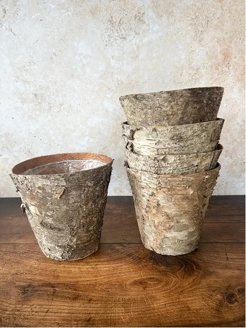 Tree Bark Pots