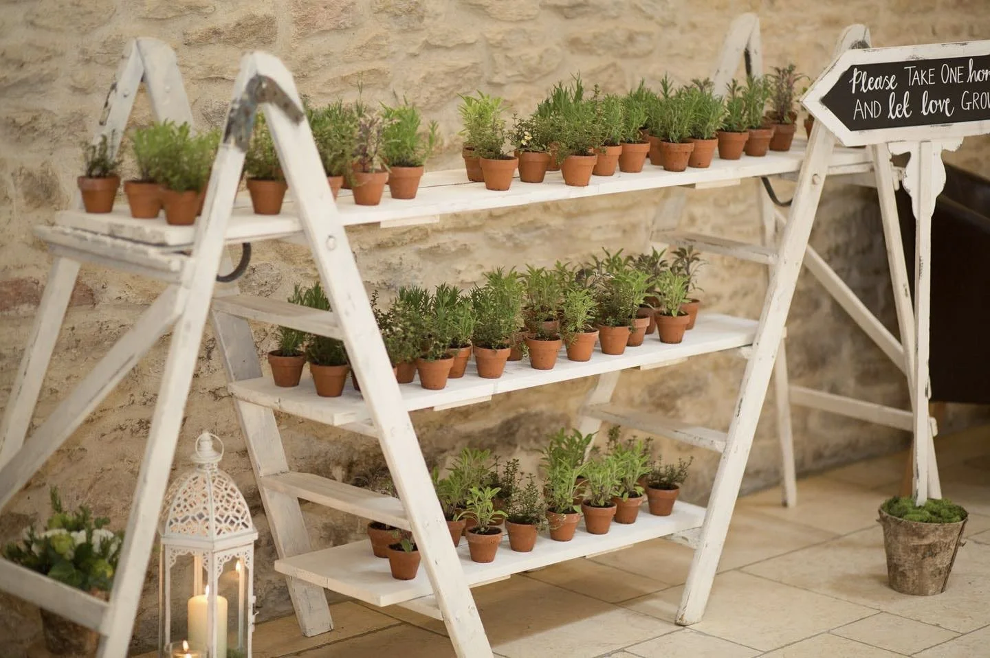 White wooden ladder-style shelf with rows of small potted green plants against a stone wall, with a lantern and candle on the floor nearby.