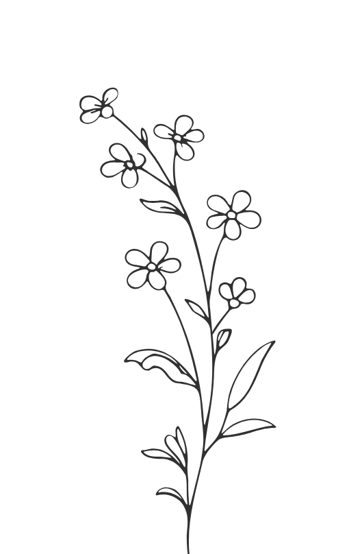 A simple black and white line drawing of a flowering plant with seven small flowers and several leaves.