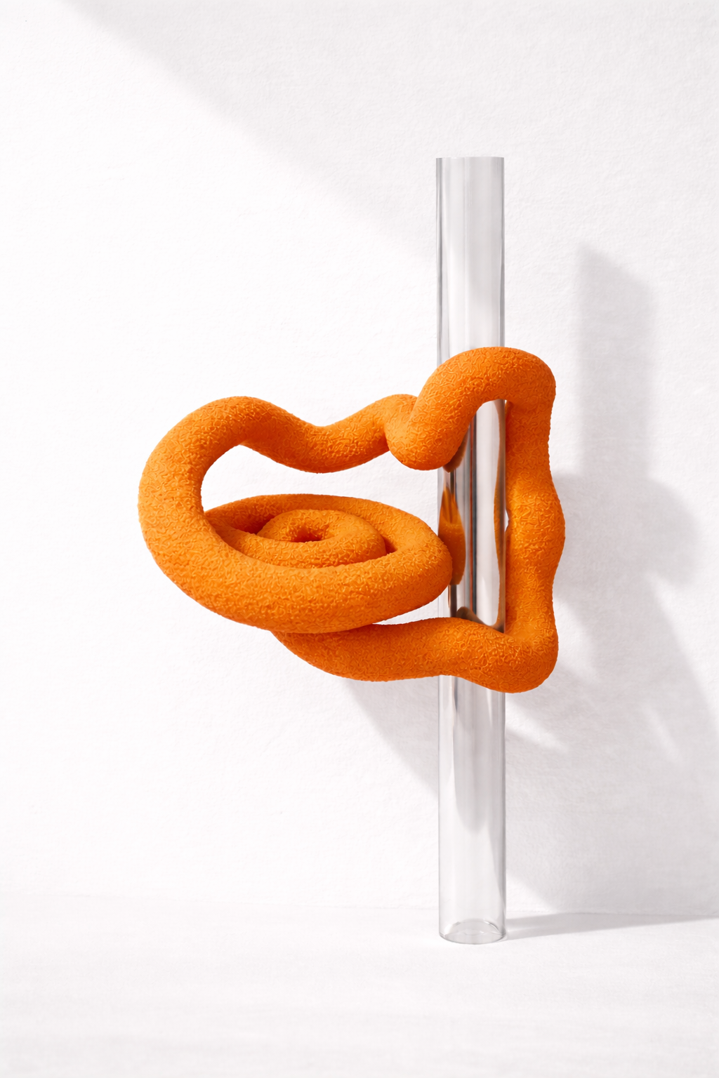THE LOOP_260308_SH_orange.png