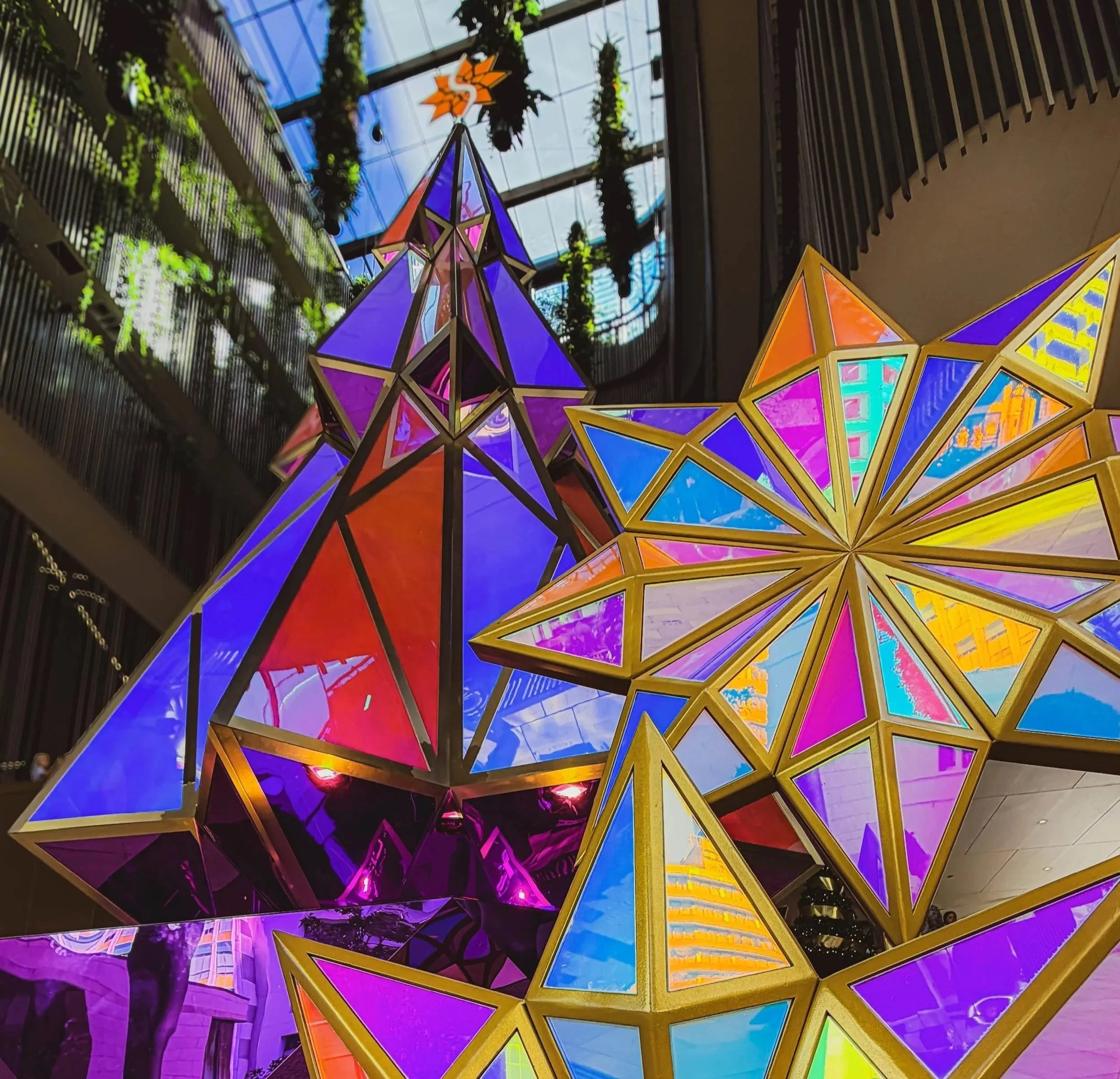 The Star / Festive Experience