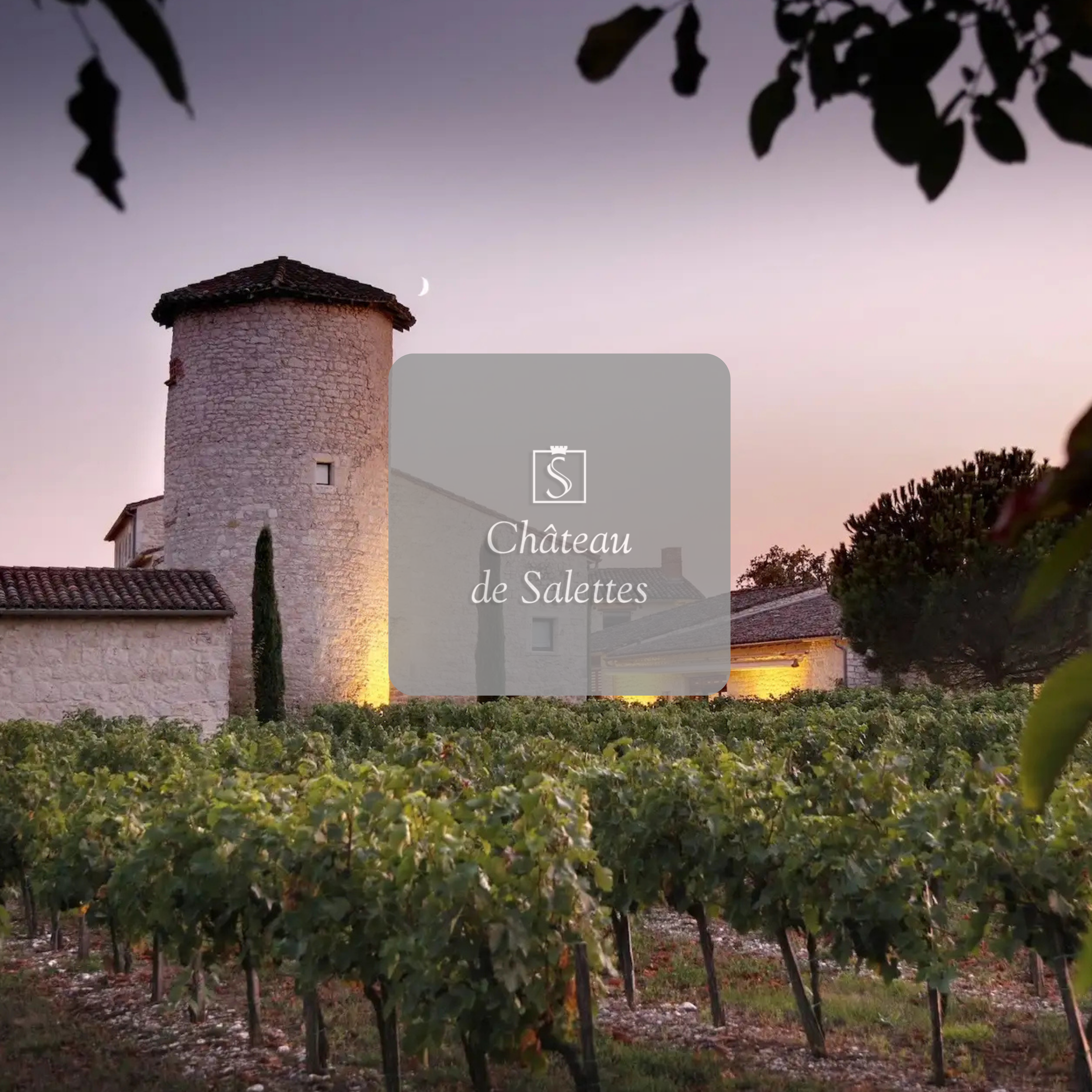 Vignoble avec un château de Salettes en arrière-plan, sous un ciel en crépuscule, avec une lune visible au-dessus de la tour du château.