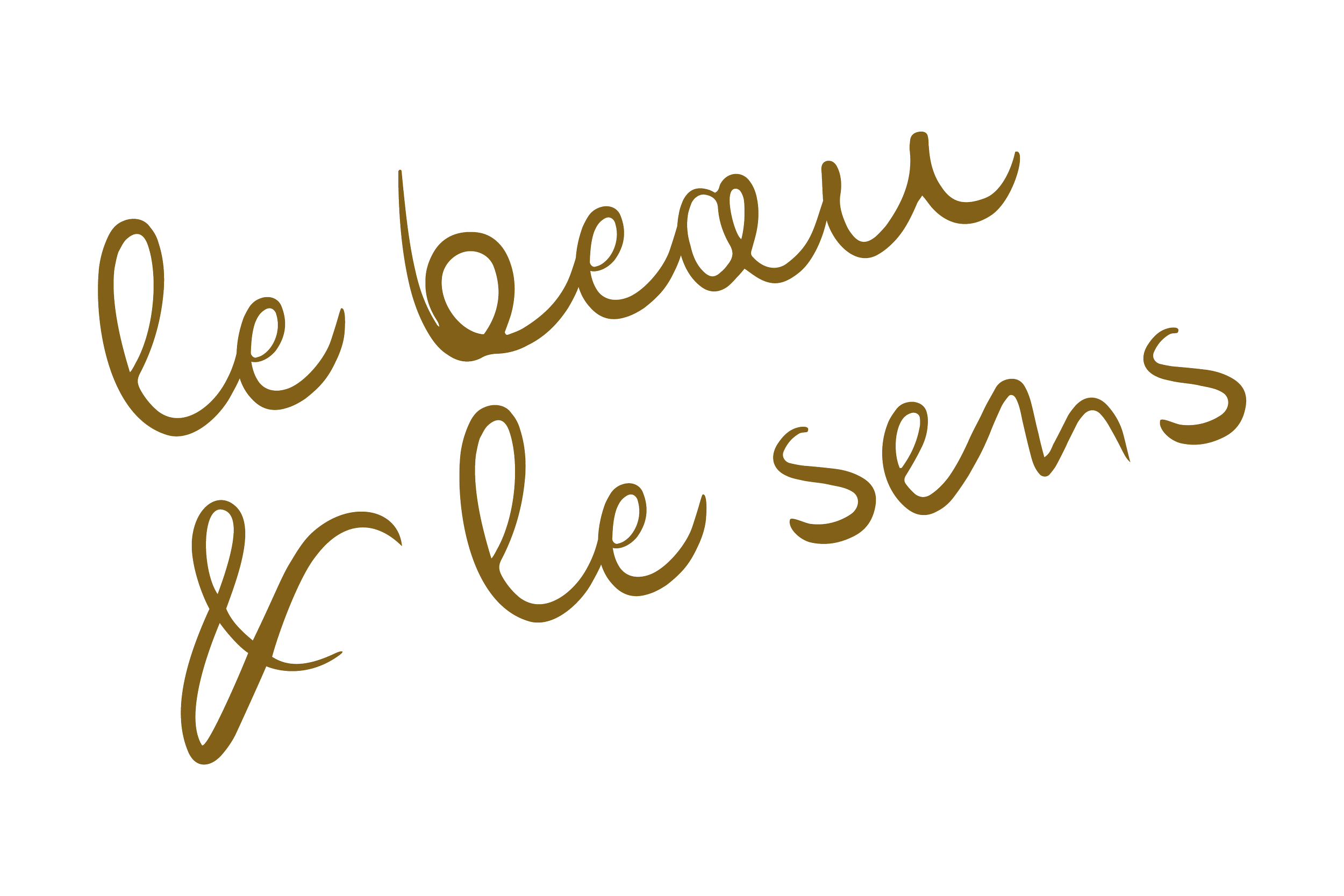 Image avec typographie "le beau et le sens".