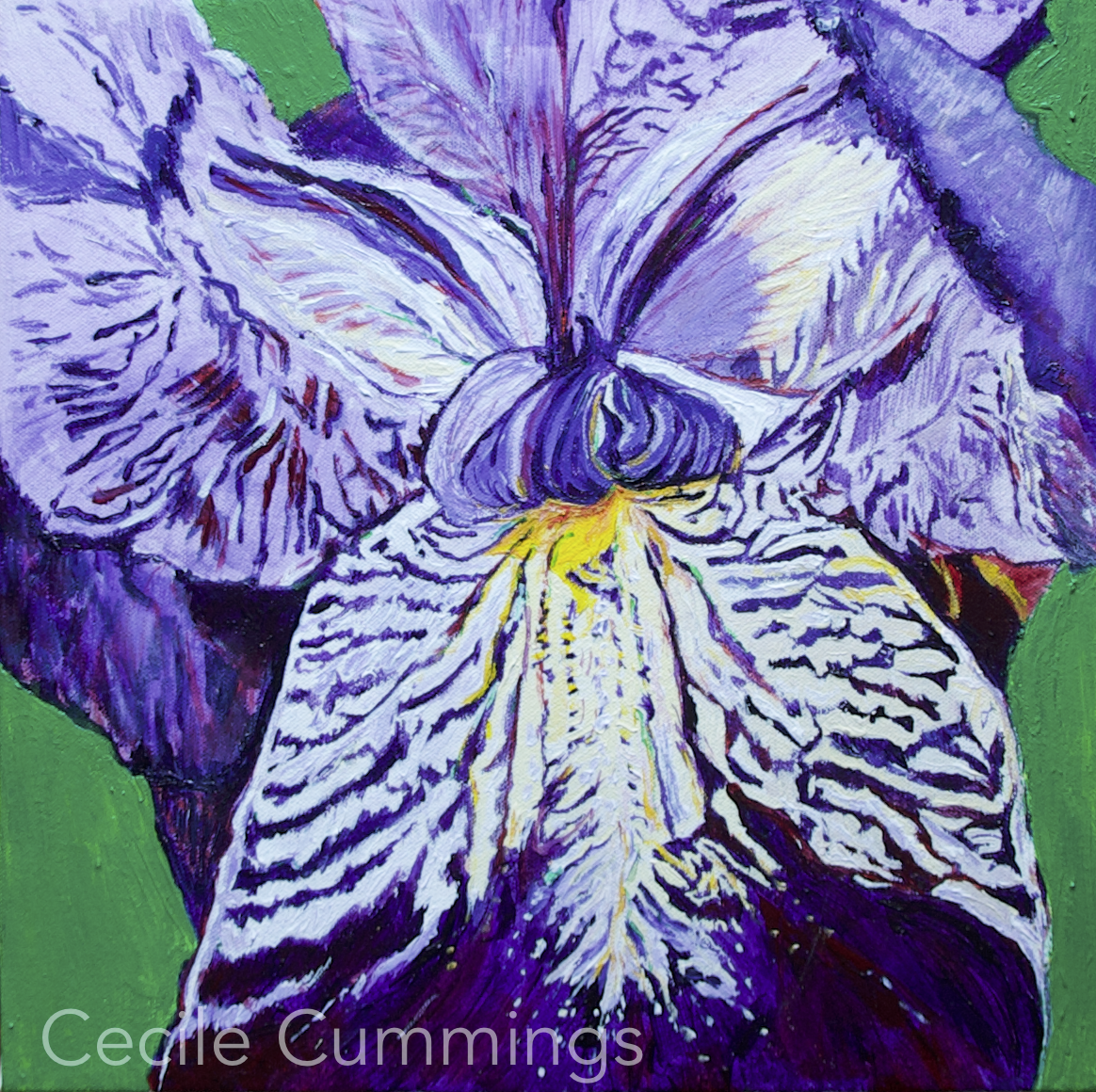 Iris (30x30cm) - Acrylic on canvas $250