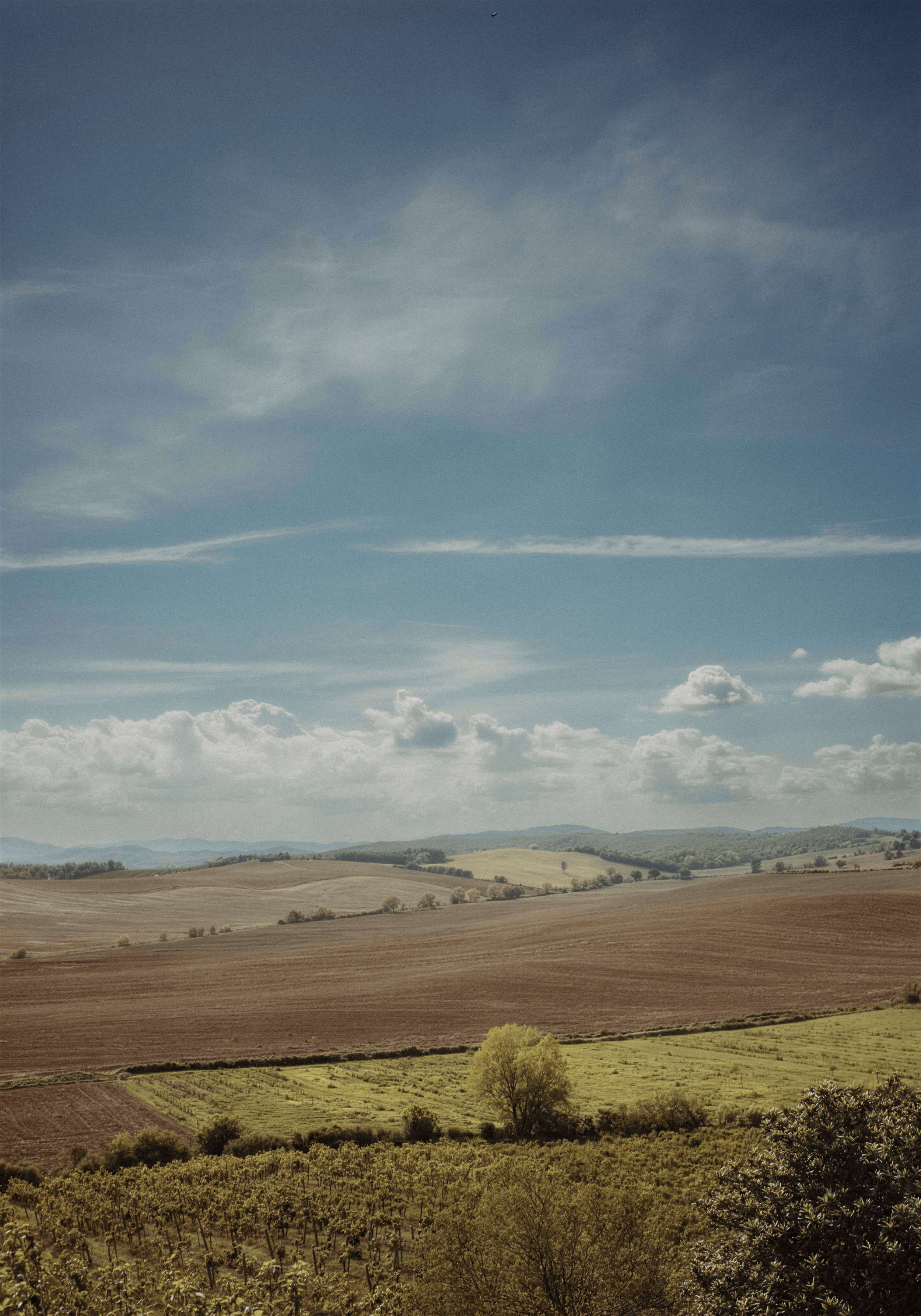 Colombaia's landscape in the Alta Val d'Elsa, Tuscany — ploughed fields, hedgerows and hills under a wide sky