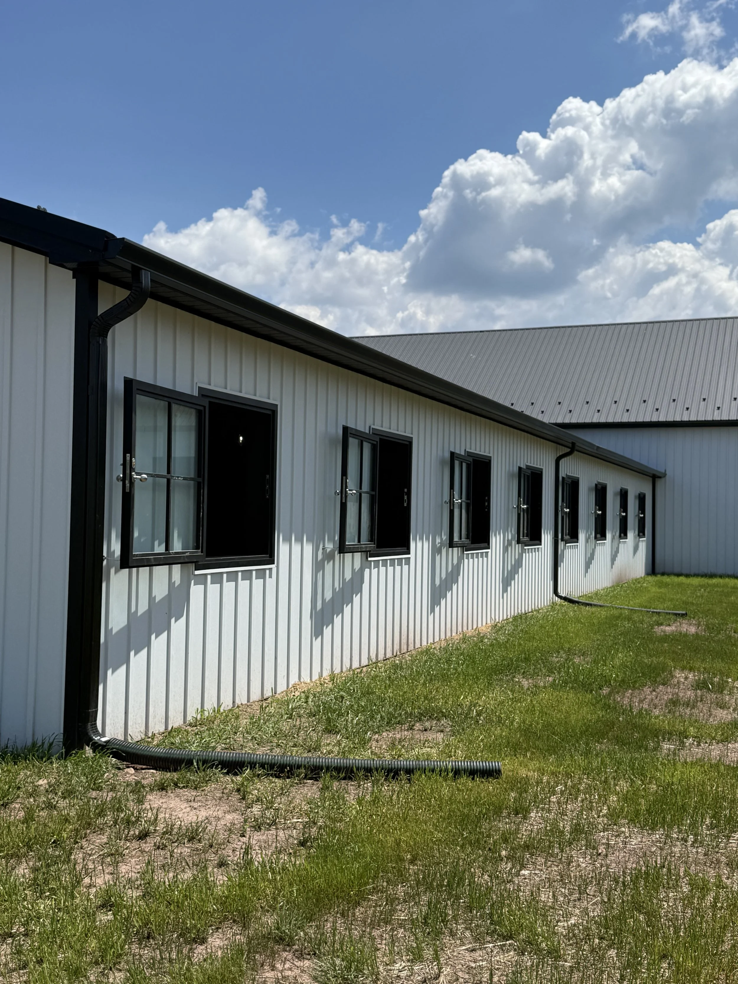 A light gray corrugated metal building with several black-framed windows, black gutters, and downspouts, set against a blue sky with white clouds, with green grass and patches of dirt in the foreground.