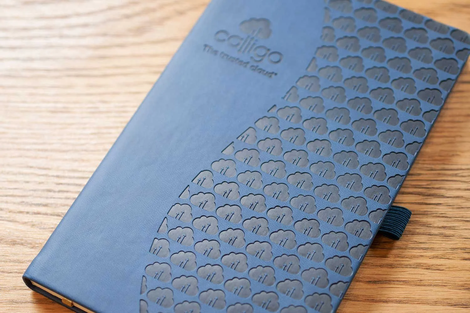 castelli_tucson_chinablue_embossing_calligo.jpg