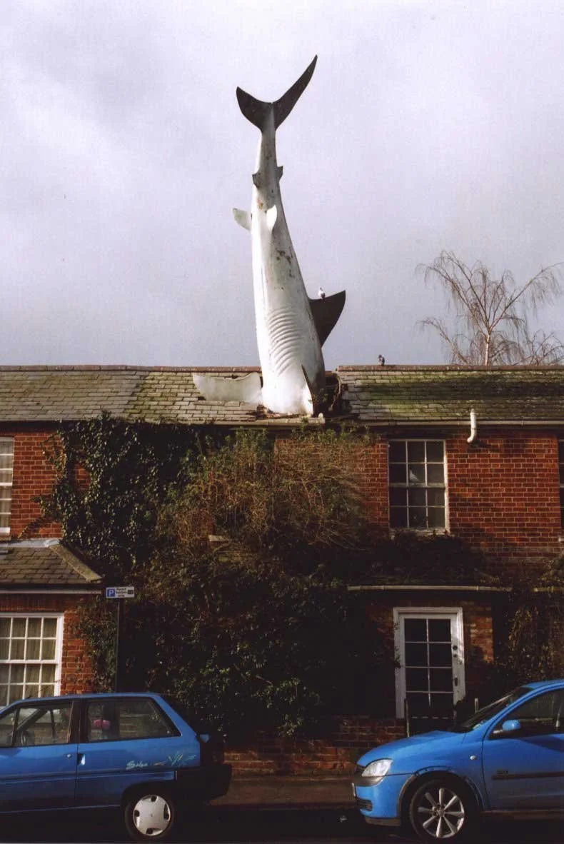 shark house oxford