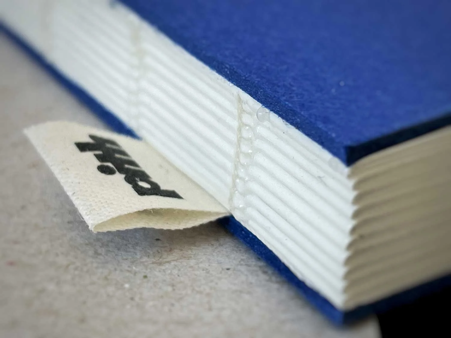 objects of desire - pith notebooks - blue book spine