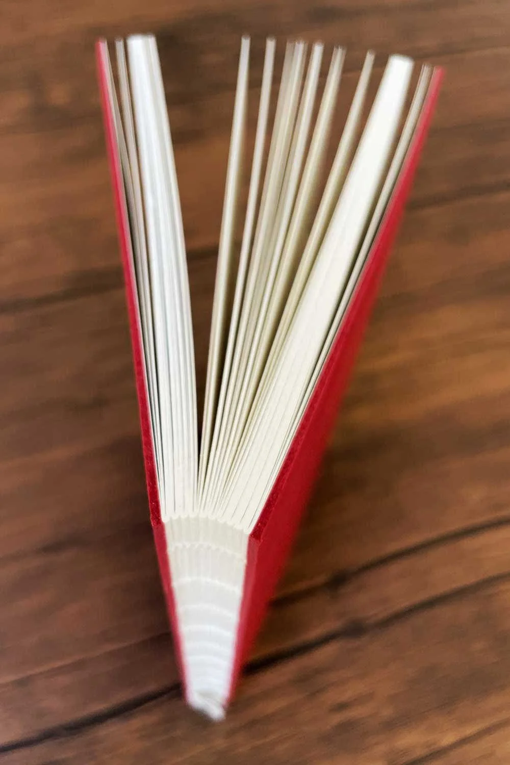 objects of desire - pith notebooks - red book