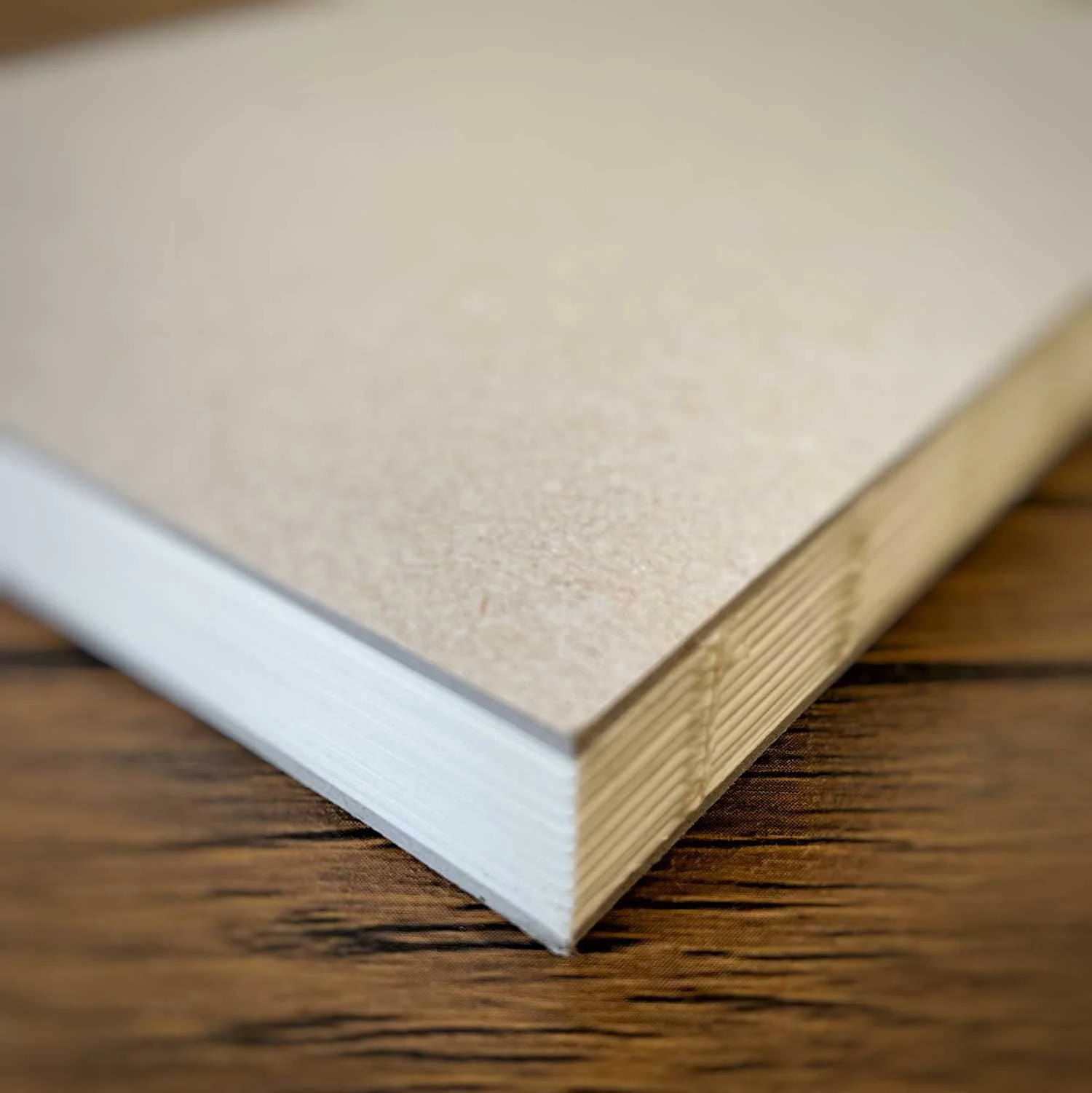 objects of desire - pith notebooks - spine