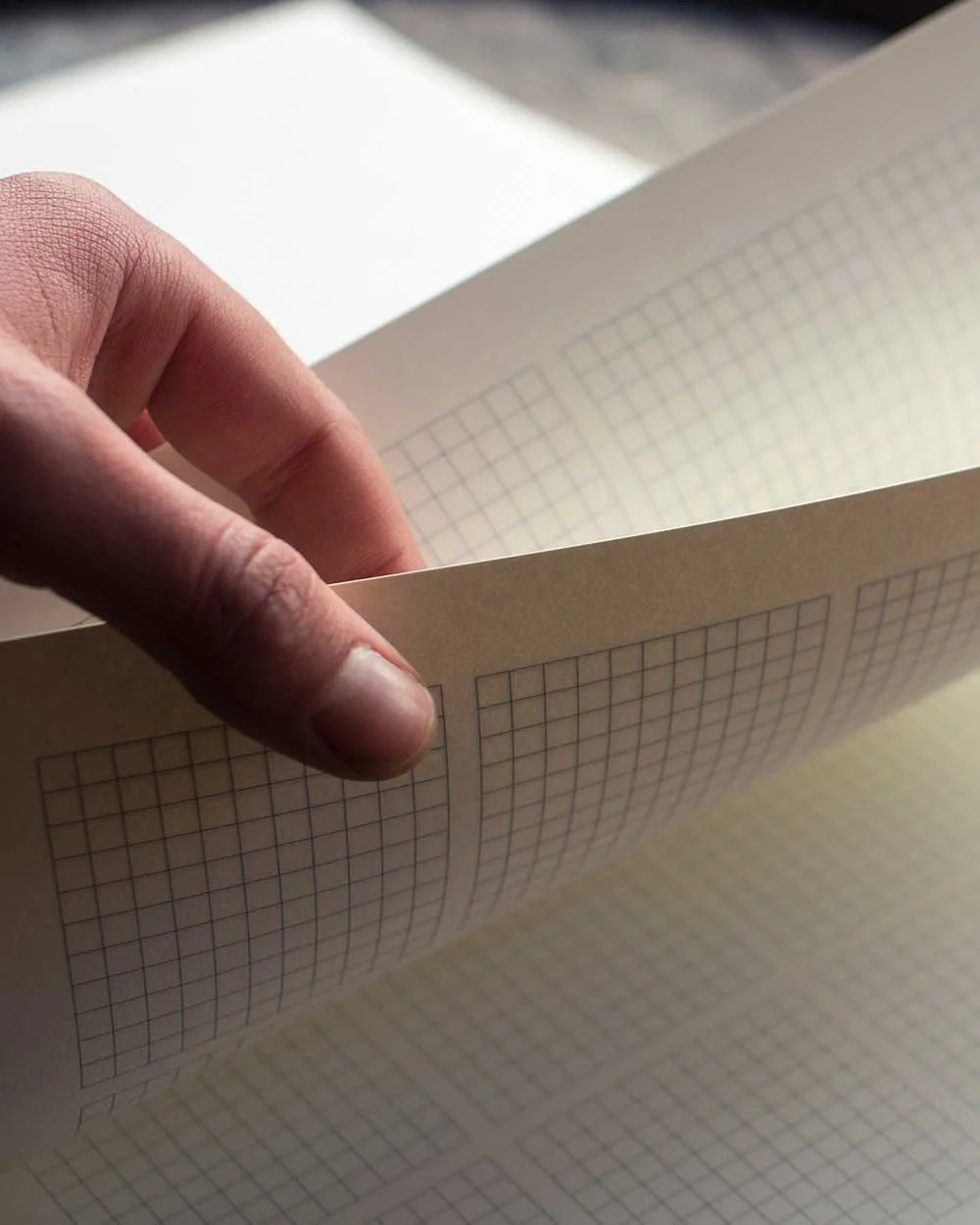 objects of desire - pith notebooks - swedish paper