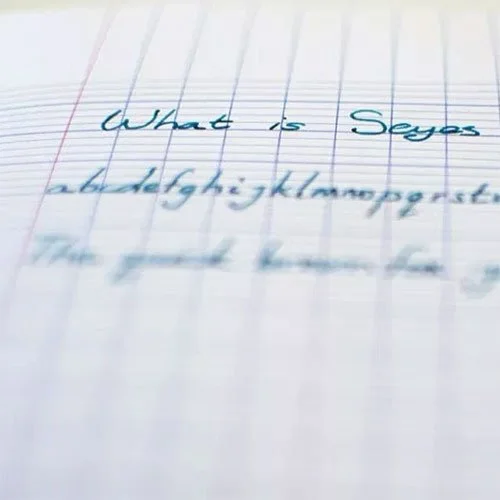 french seyes paper in use