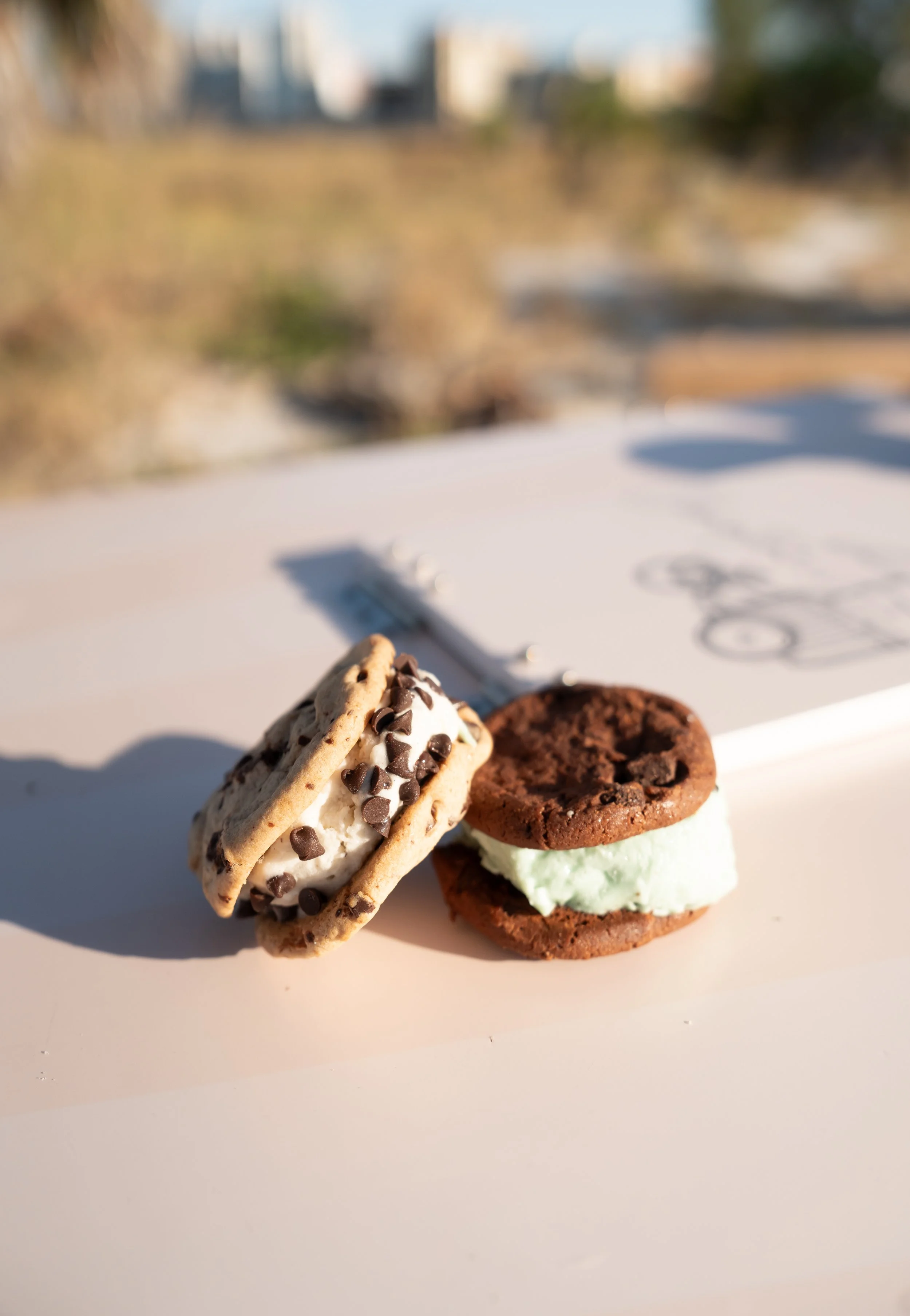 CLEMENTINE PARTY COOLER