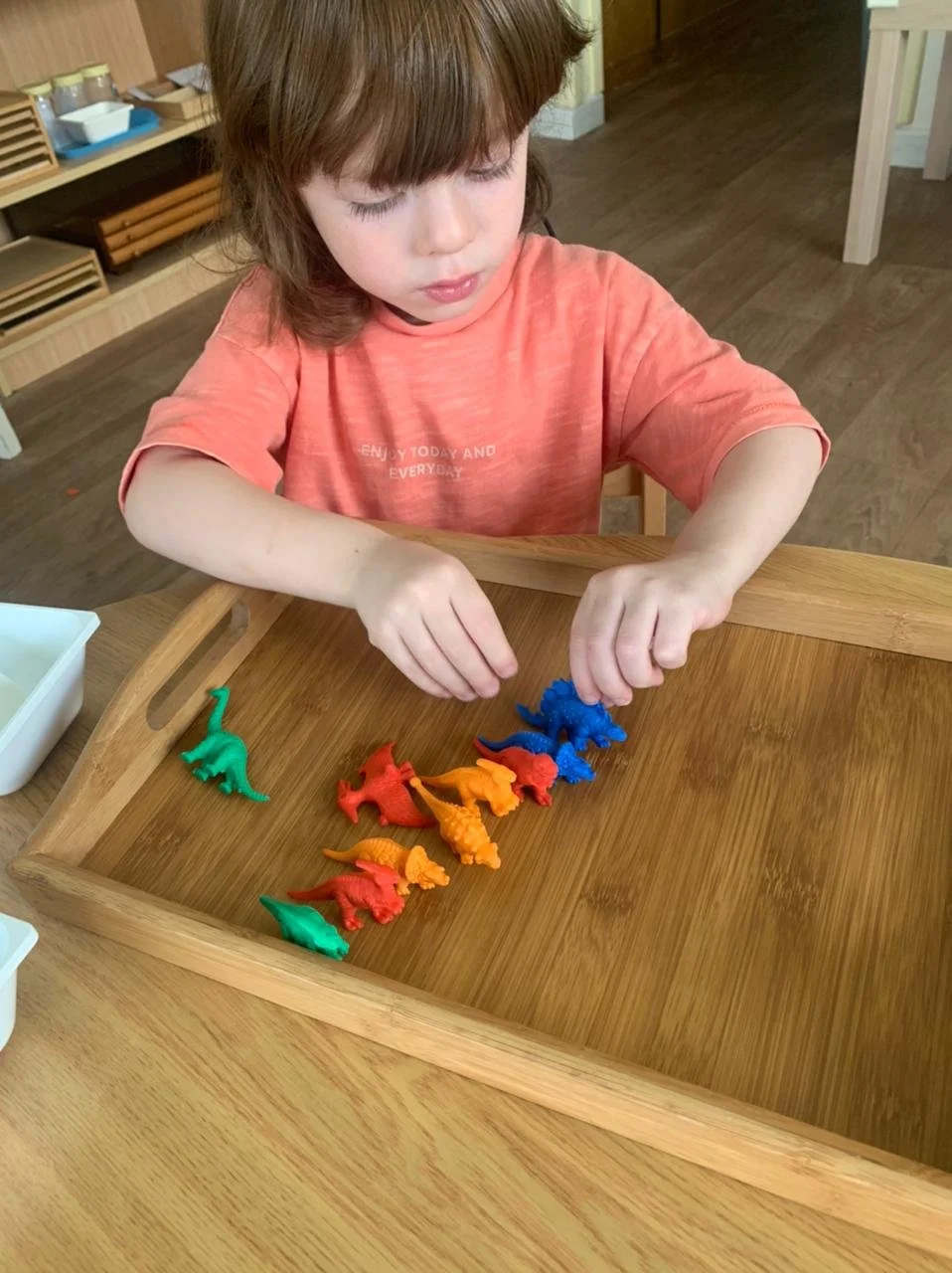 A young child with brown hair wearing an orange T-shirt, playing with colorful toy dinosaurs on a wooden tray at a table.