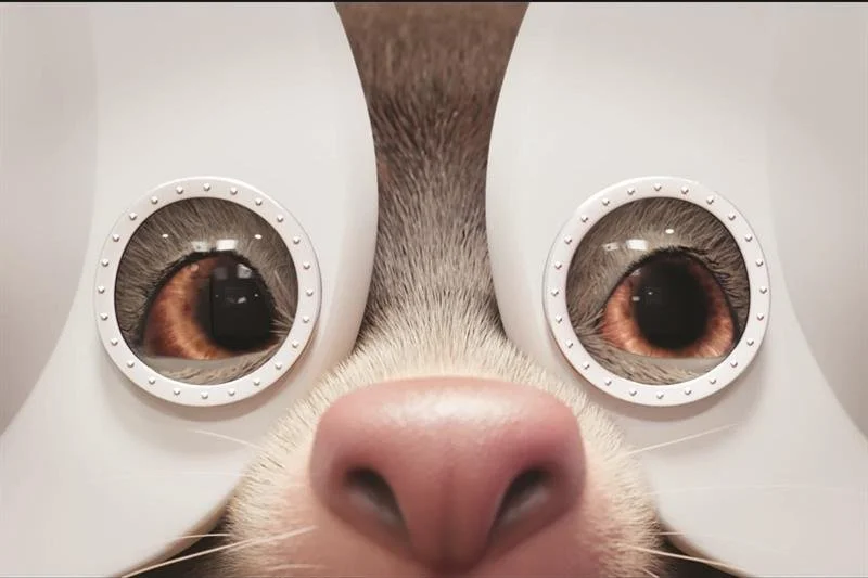 Vision Express 'See More For Less'