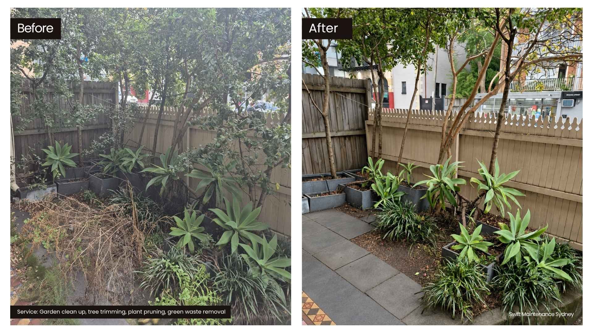 Portfolio - before and after photos