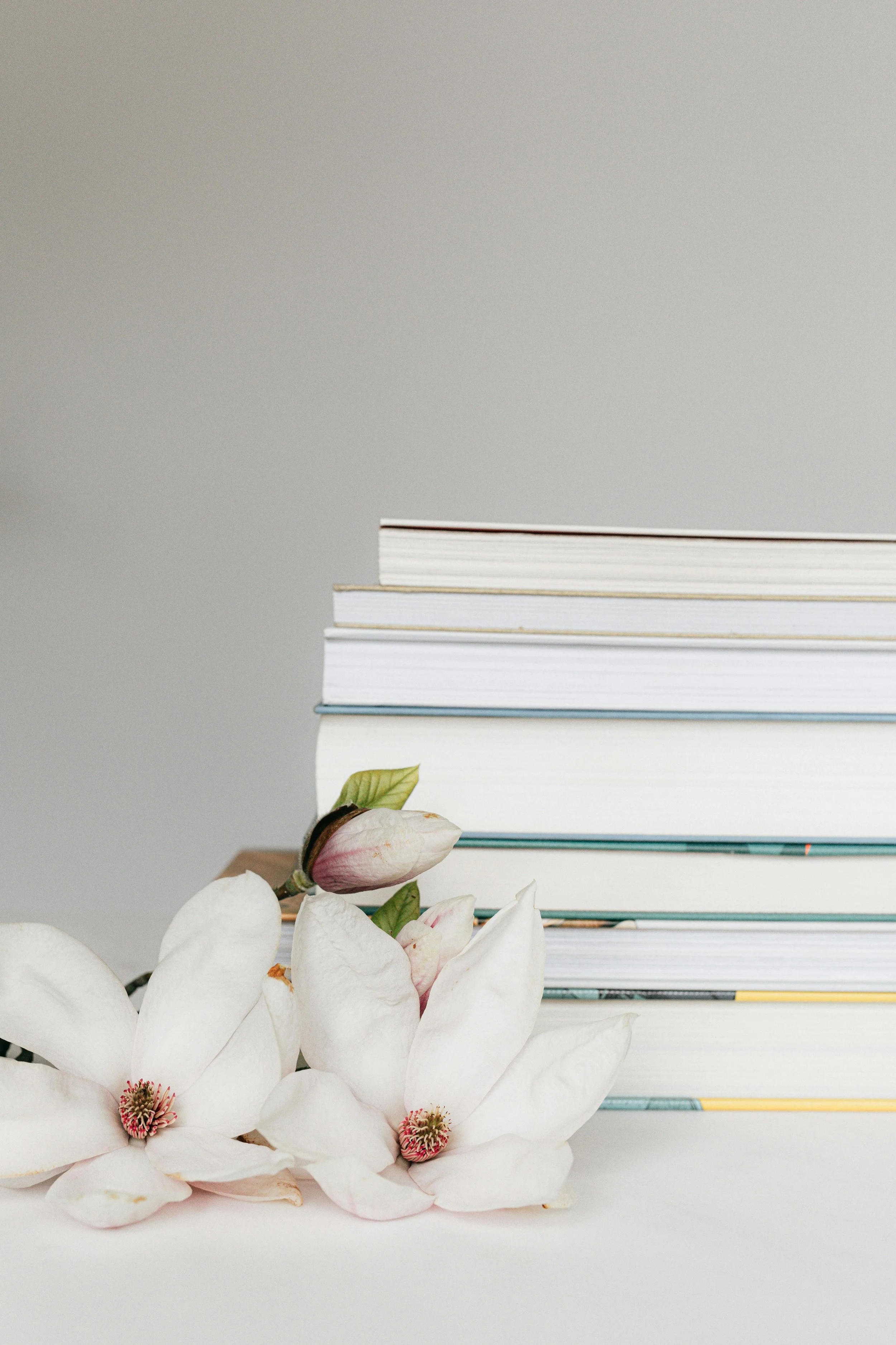 A stack of books with white covers and colorful edges, a magnolia flower, and magnolia blossoms in the foreground against a plain background.