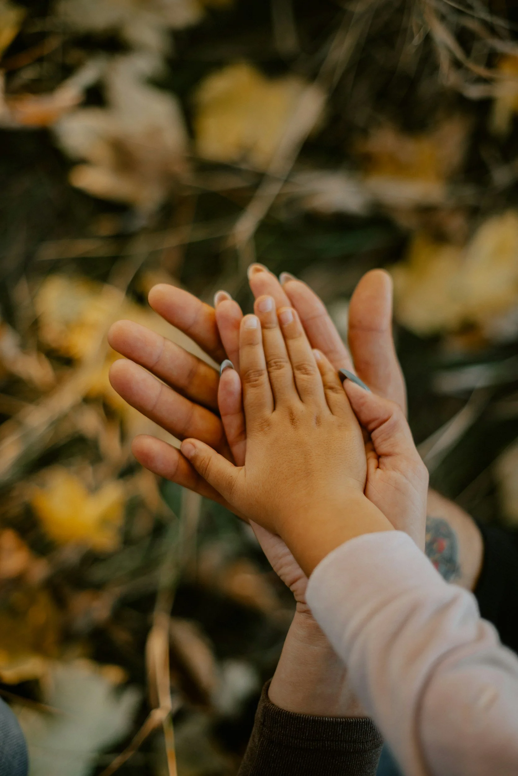 Parent and preschool child practicing positive connection and emotional regulation skills