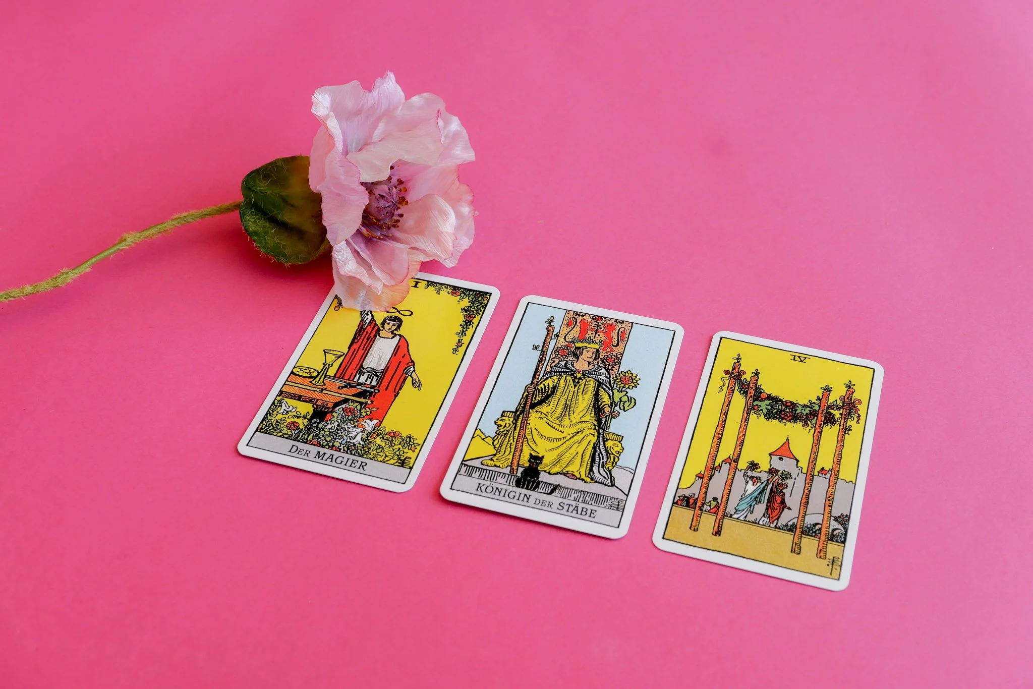 A pink background with four tarot cards laid out in a row and a pink flower with green leaves and stem on the left side of the image.