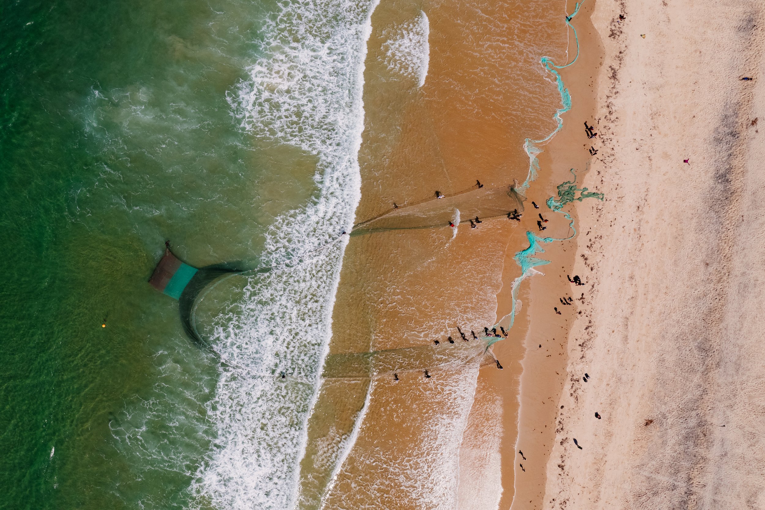 WWF_PSEPA_Day_7_Quelelene_Beach Fishing_Zander_Stills_Mavic Air 2s__0338.JPG