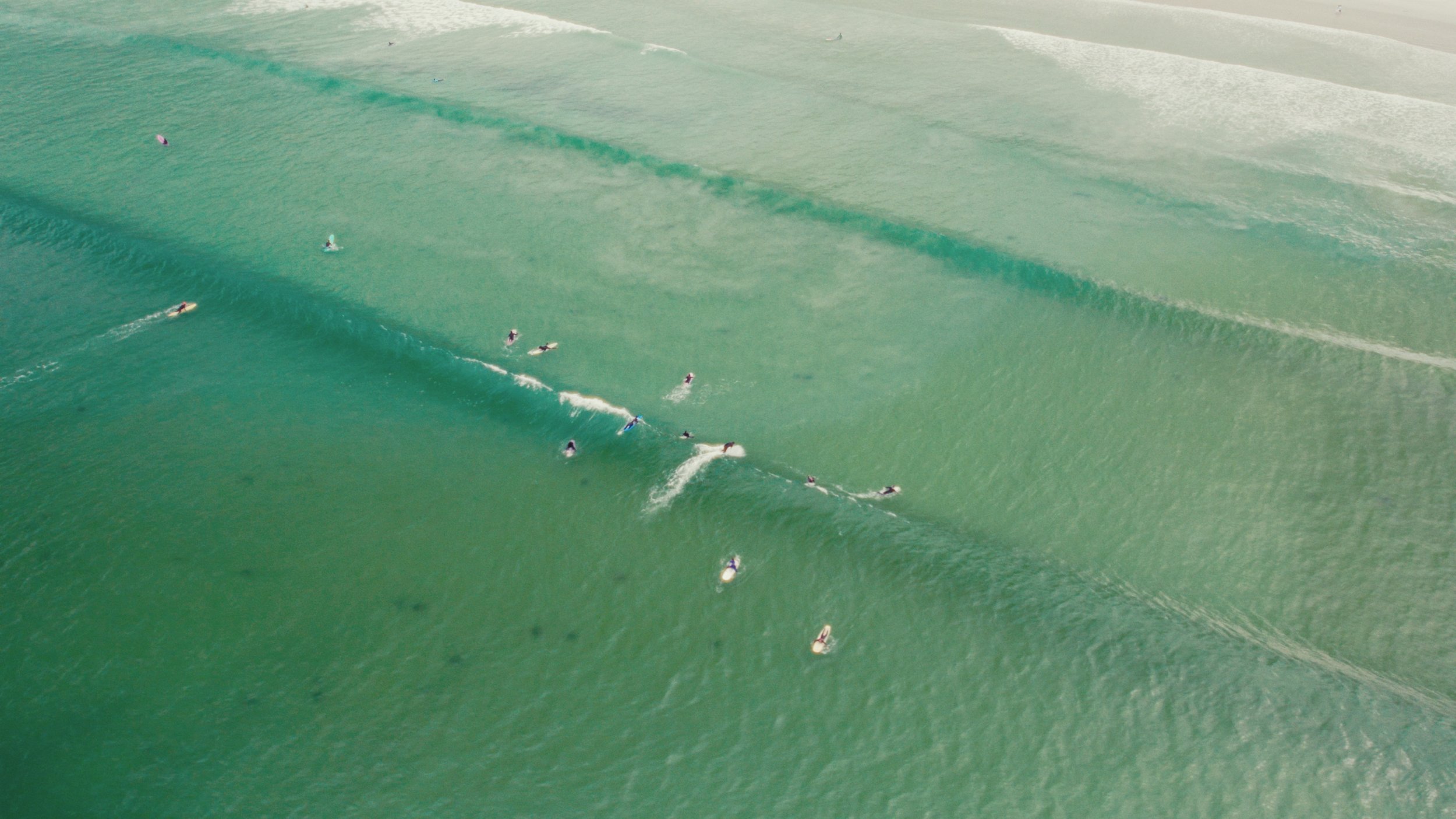 Still 2026-02-23 172941_1.72.1.jpg