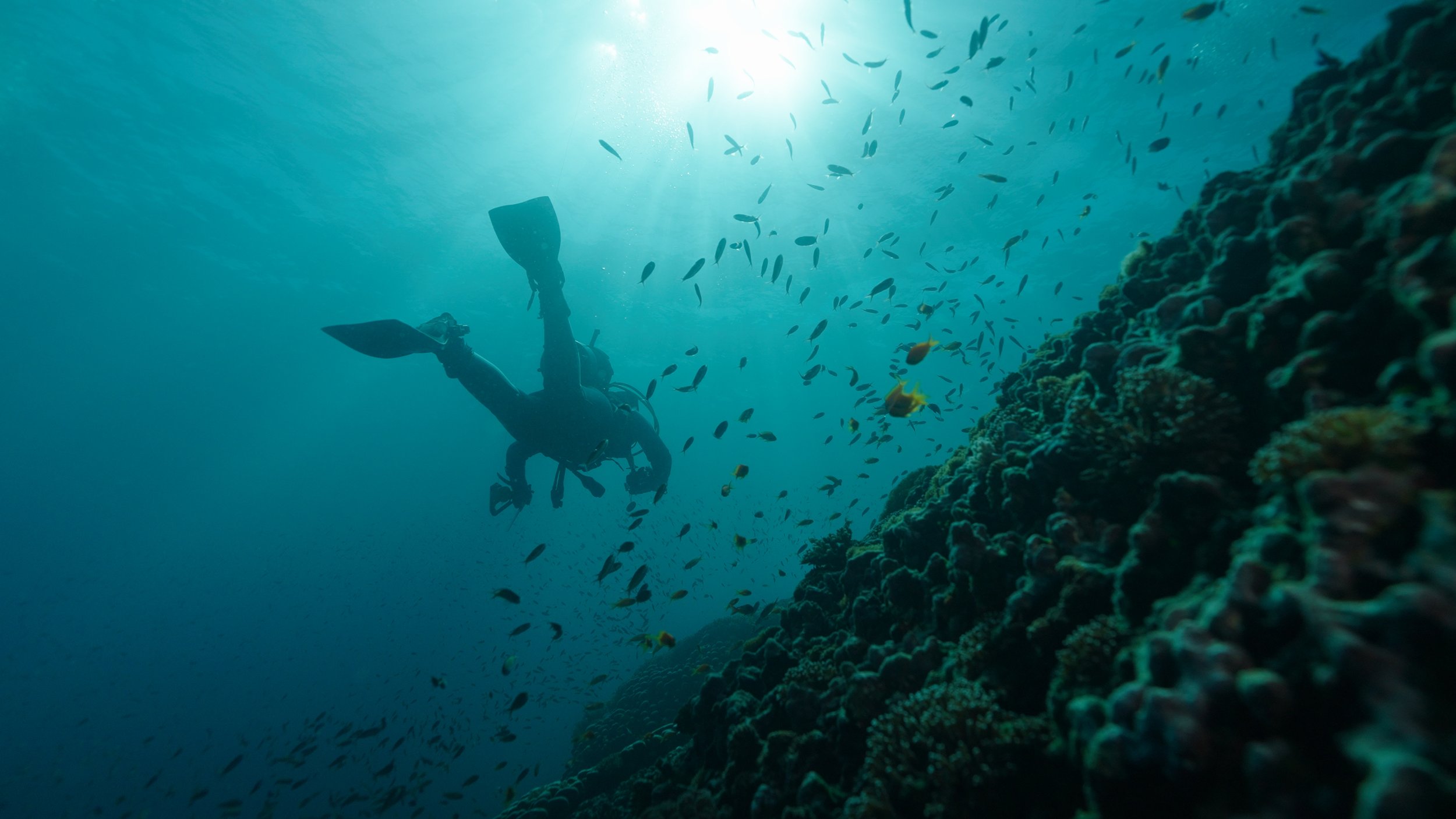 Still 2026-02-19 172024_1.23.1.jpg