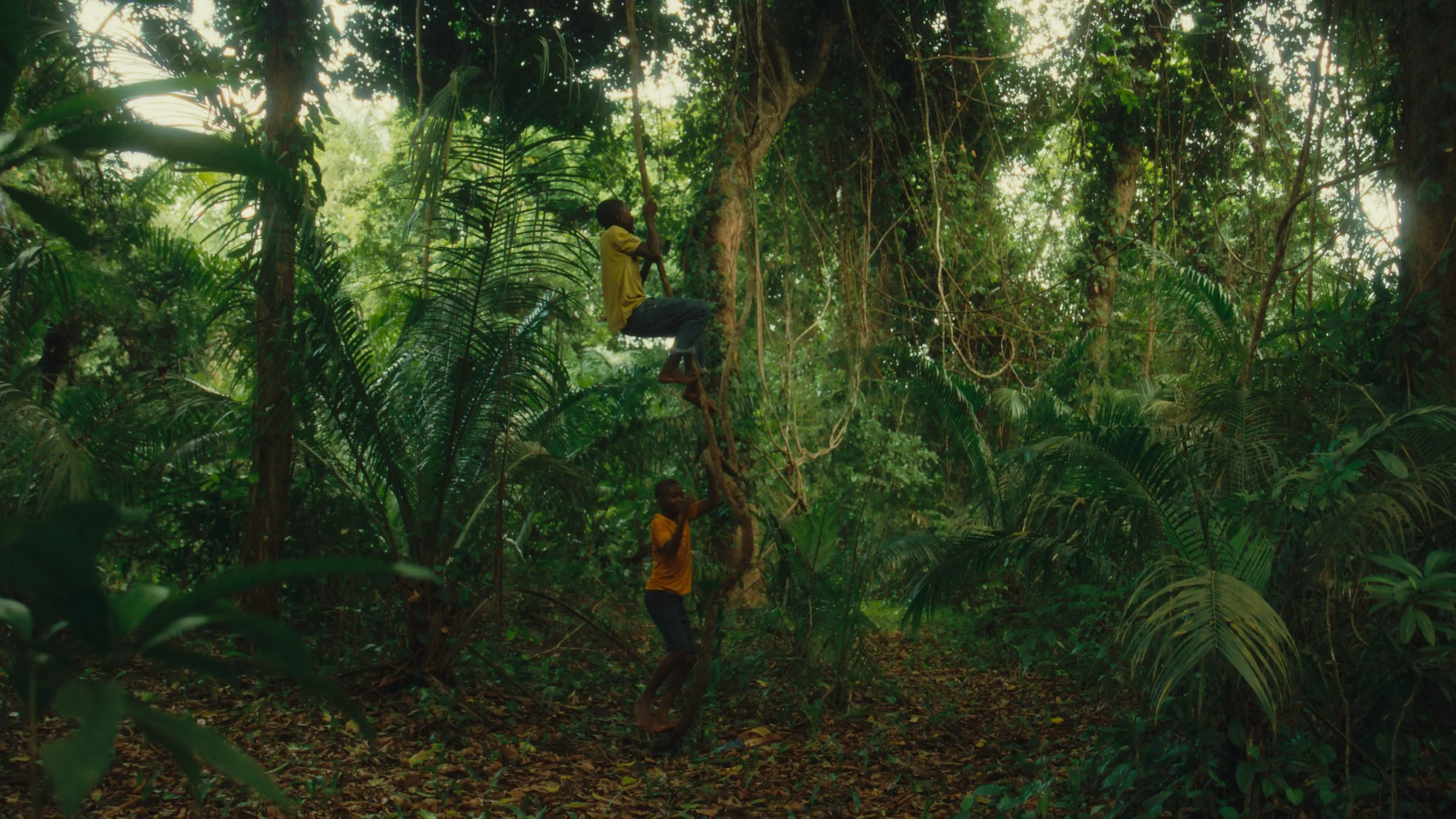 Still 2026-04-12 073630_1.79.1.jpg