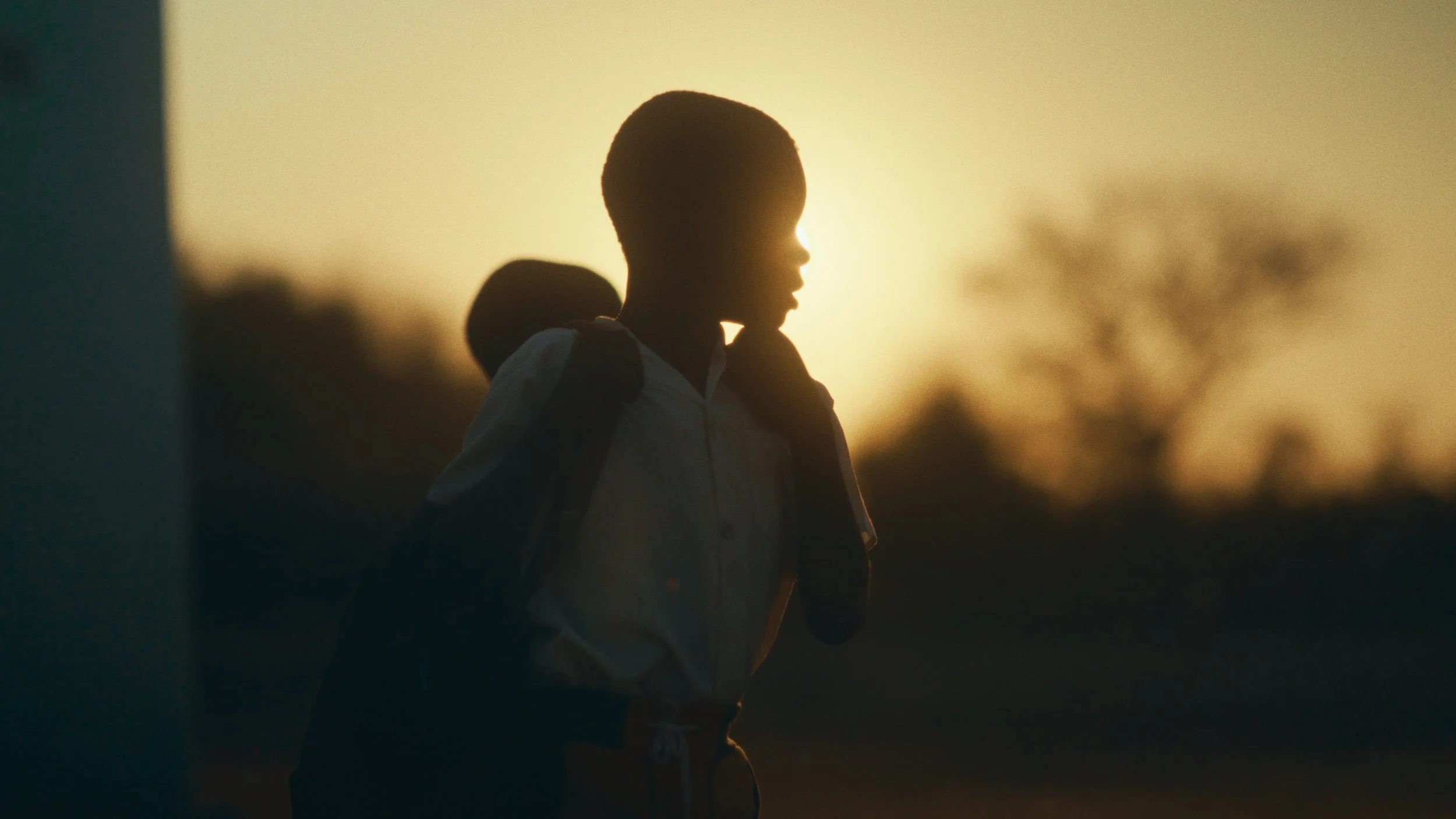 Still 2026-02-19 172024_1.8.1.jpg