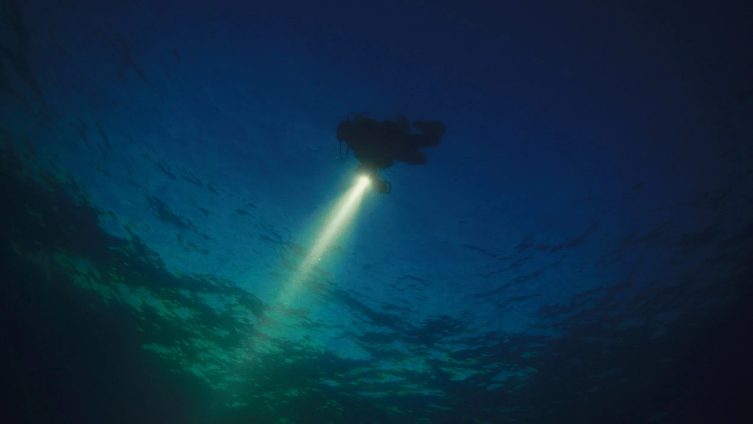 Still 2026-04-15 155256_1.271.1.jpg