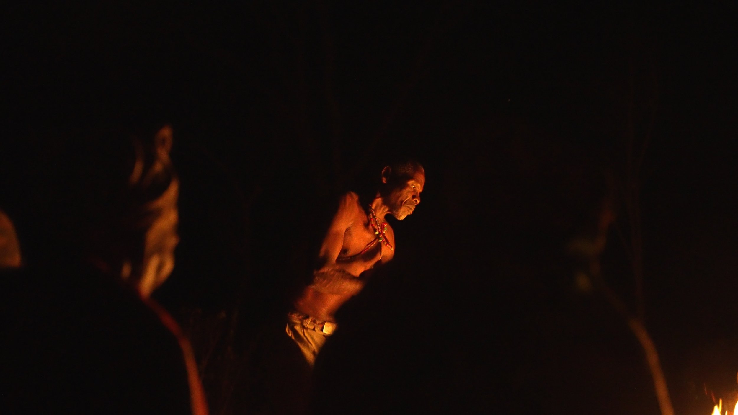 Still 2026-02-19 172024_1.3.1.jpg