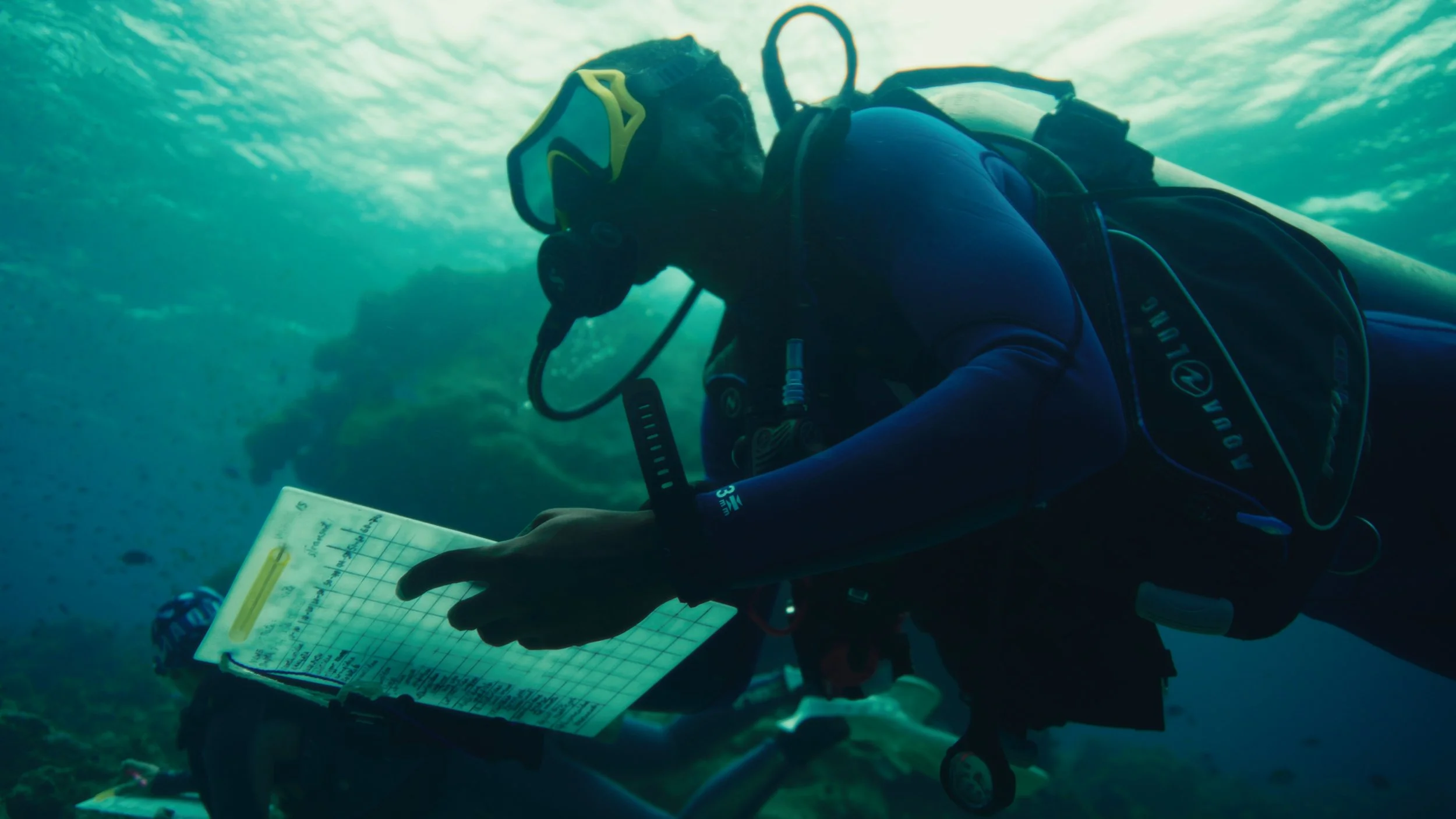 Still 2026-04-15 155256_1.147.1.jpg