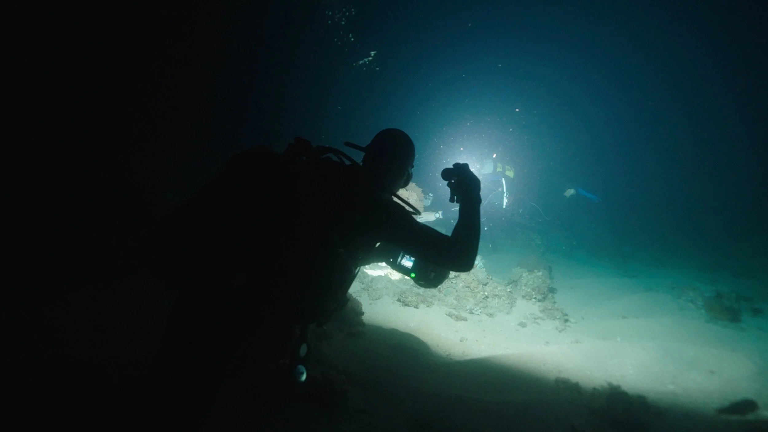 Still 2026-02-19 172024_1.78.1.jpg