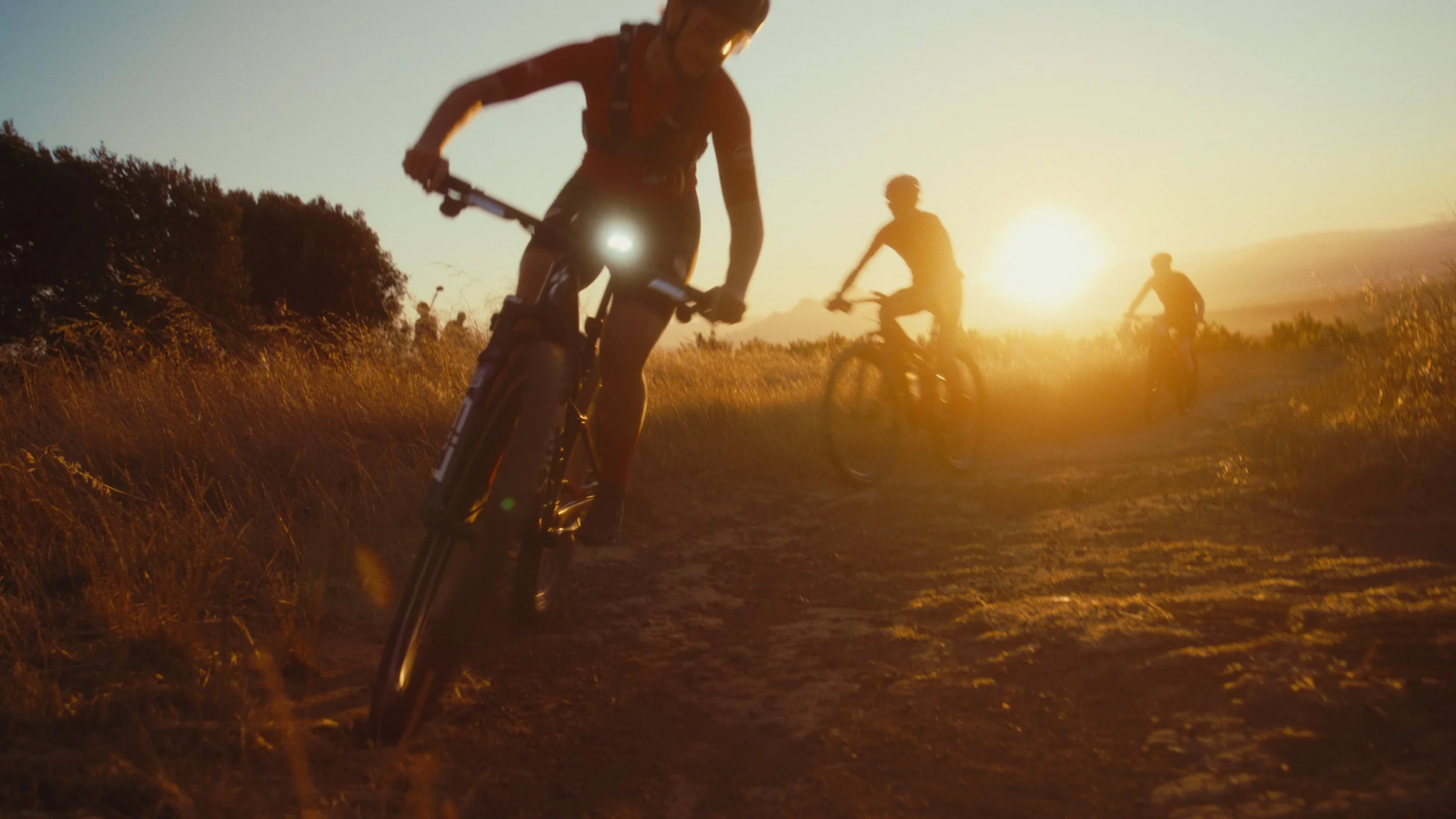 Still 2026-02-19 172024_1.5.1.jpg