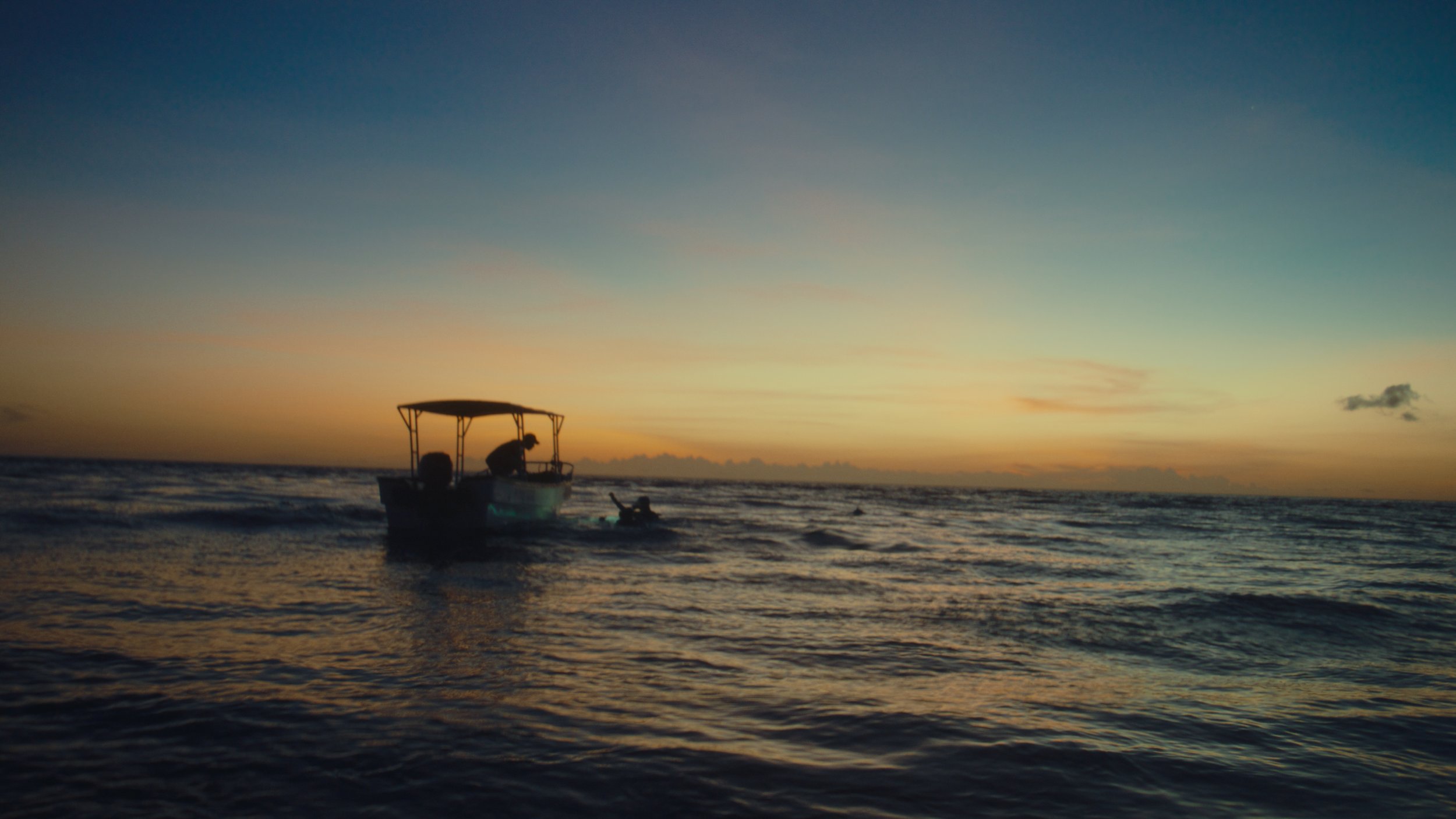 Still 2026-04-15 155256_1.262.1.jpg