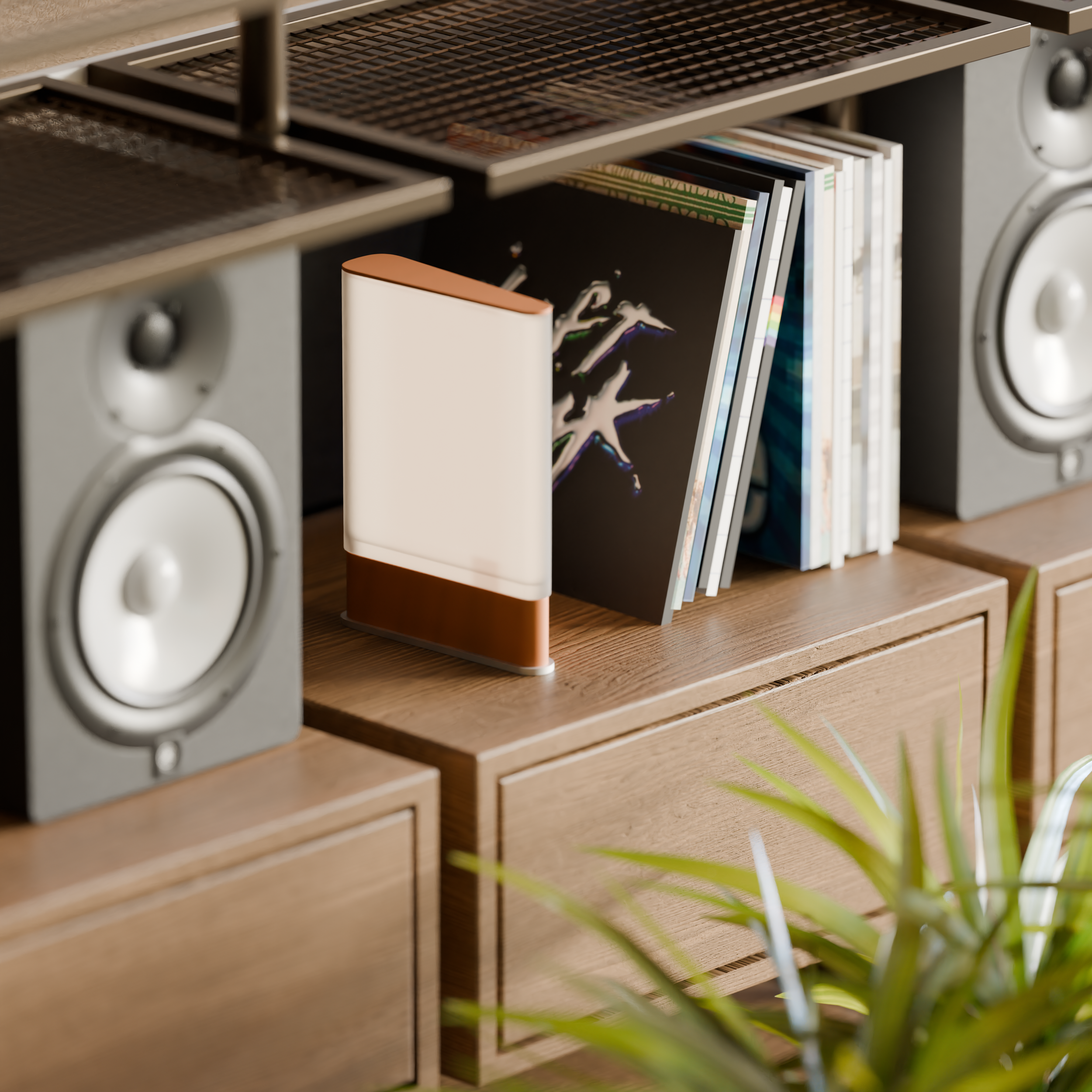 A collection of vinyl records stored on a wooden cabinet, with a pair of speakers on either side and a potted plant in the foreground.