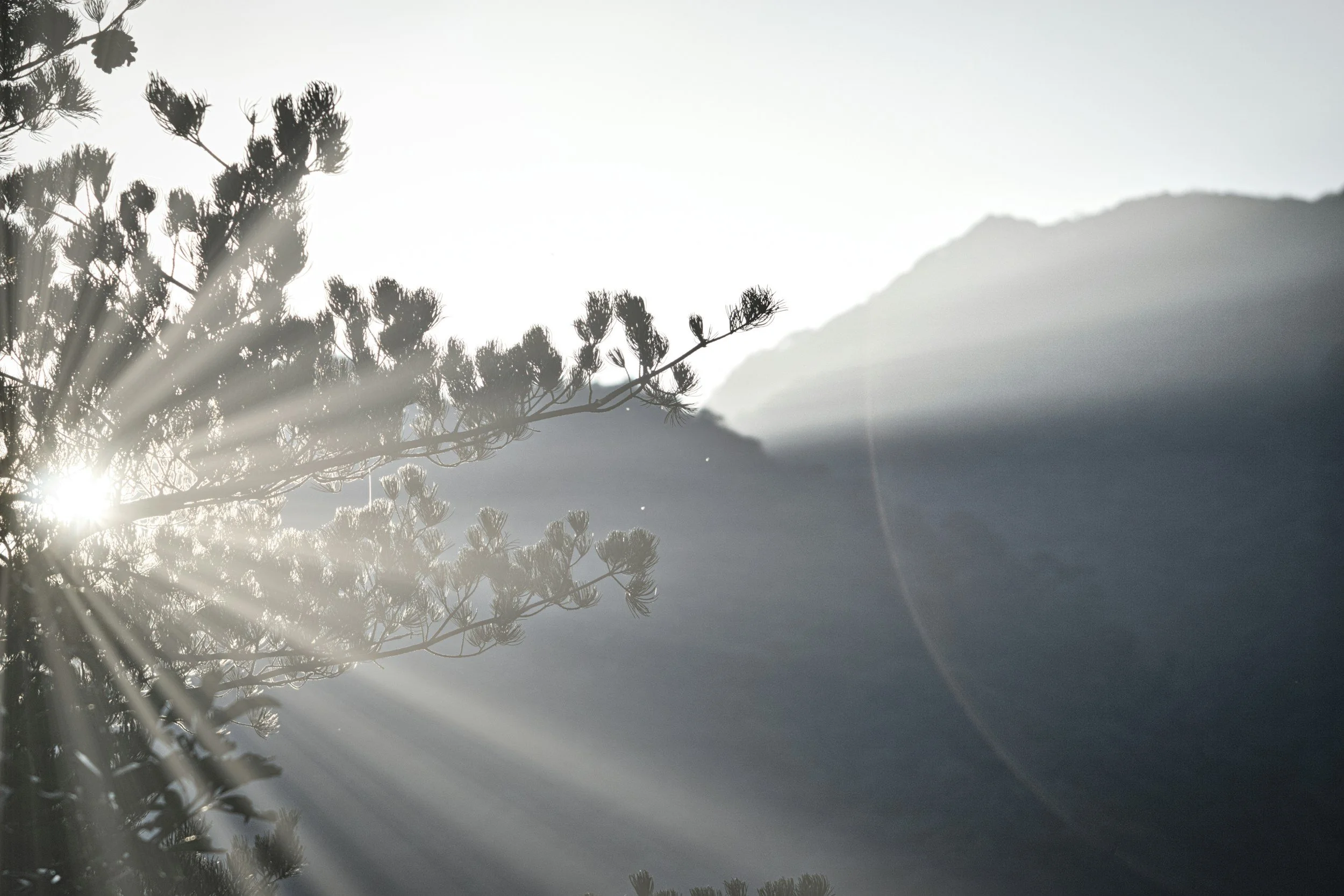 Back to Reiki Basics