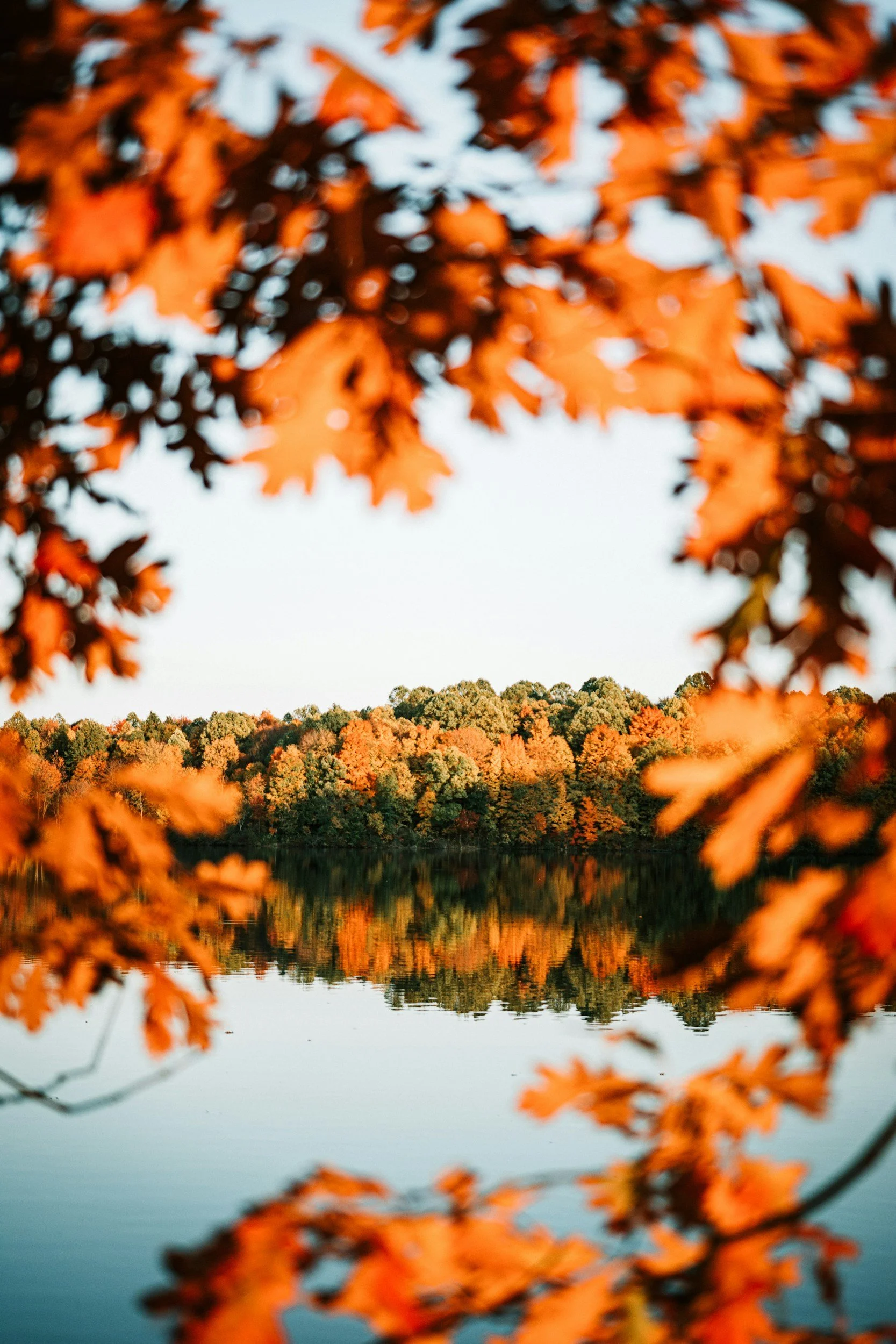 September Self-Care: 7 Gentle Ways to Reconnect with Yourself