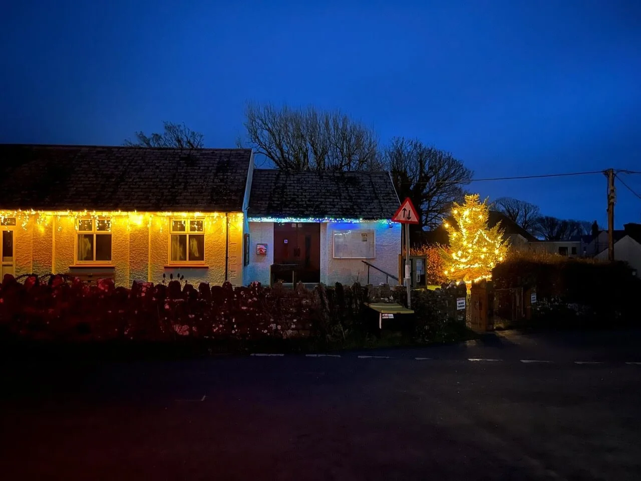 A house decorated with yellow and blue Christmas lights, with a Christmas tree illuminated with yellow lights in the yard, and a dark evening sky in the background.