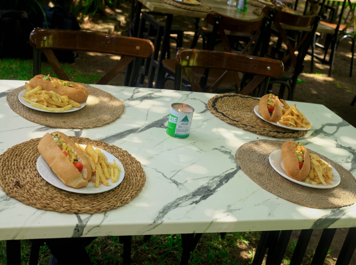Firefly_Gemini Flash_remove the chair blocking the food 10259.png
