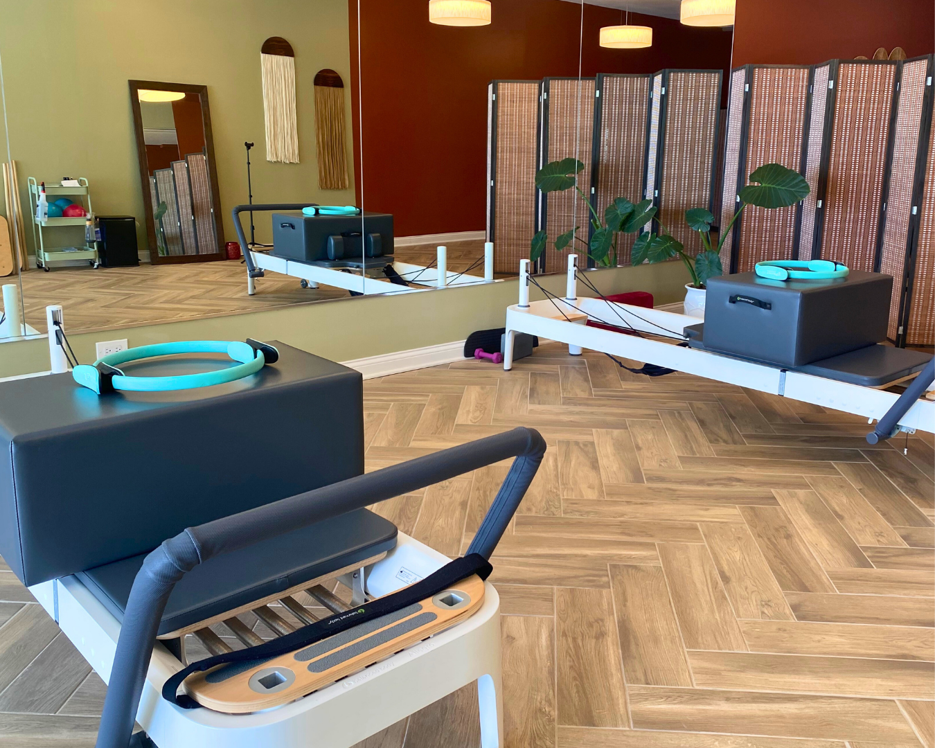 Small Group Reformer Class (50 mins)