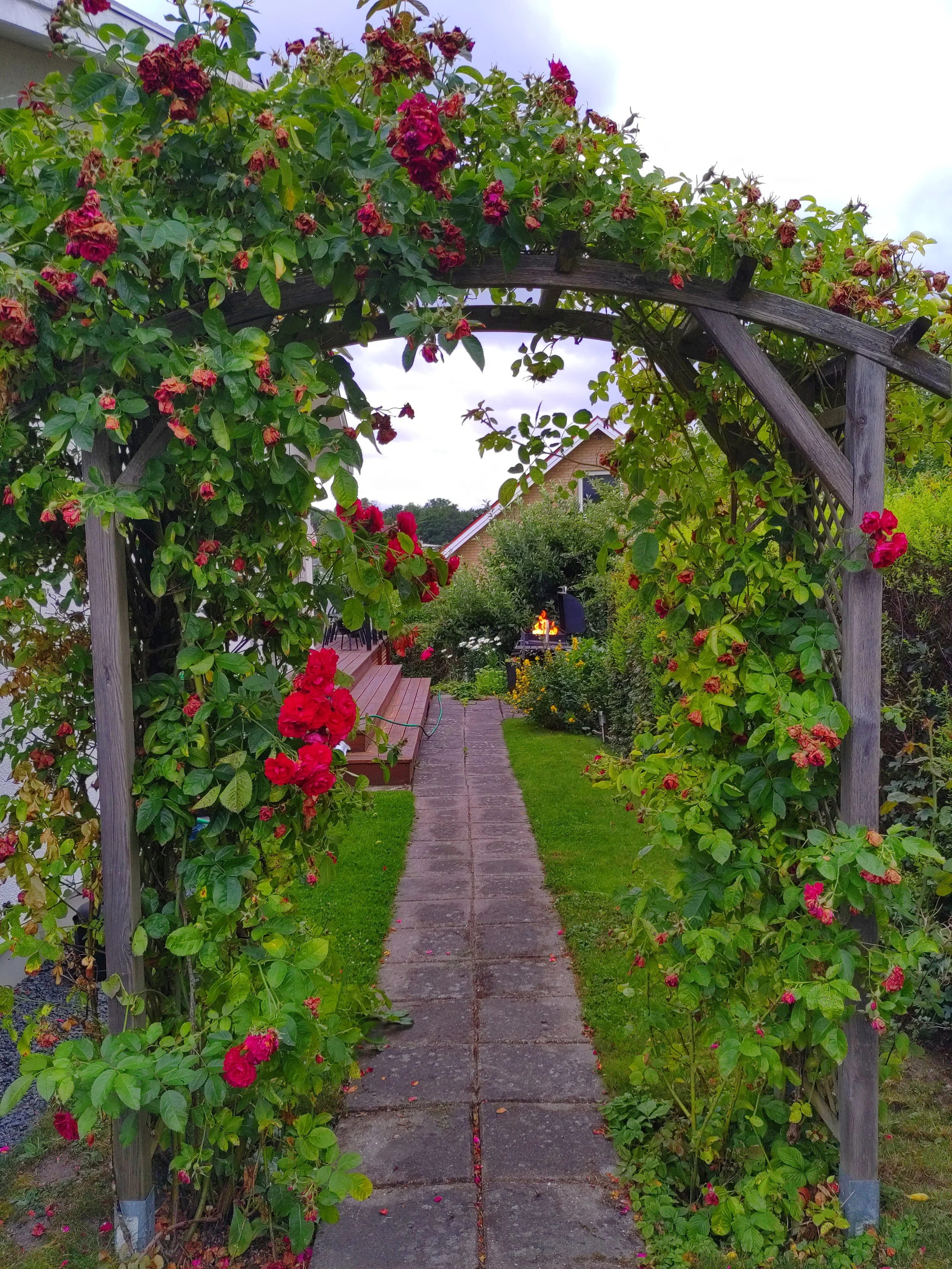 A garden pathway under a wooden archway covered with pink and red flowering plants, leading to a house with a fire pit in the background.