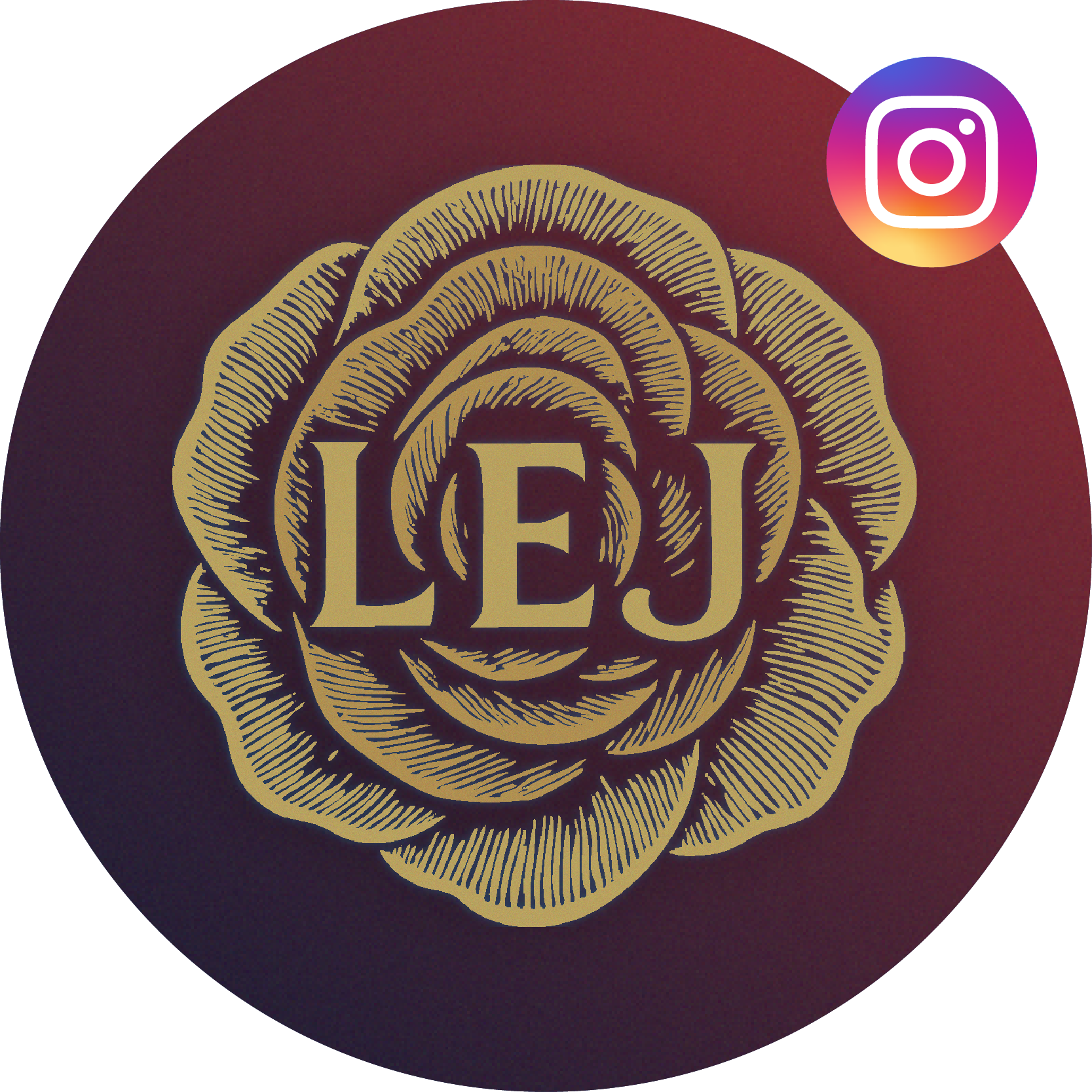 icon instagram page LEJ
