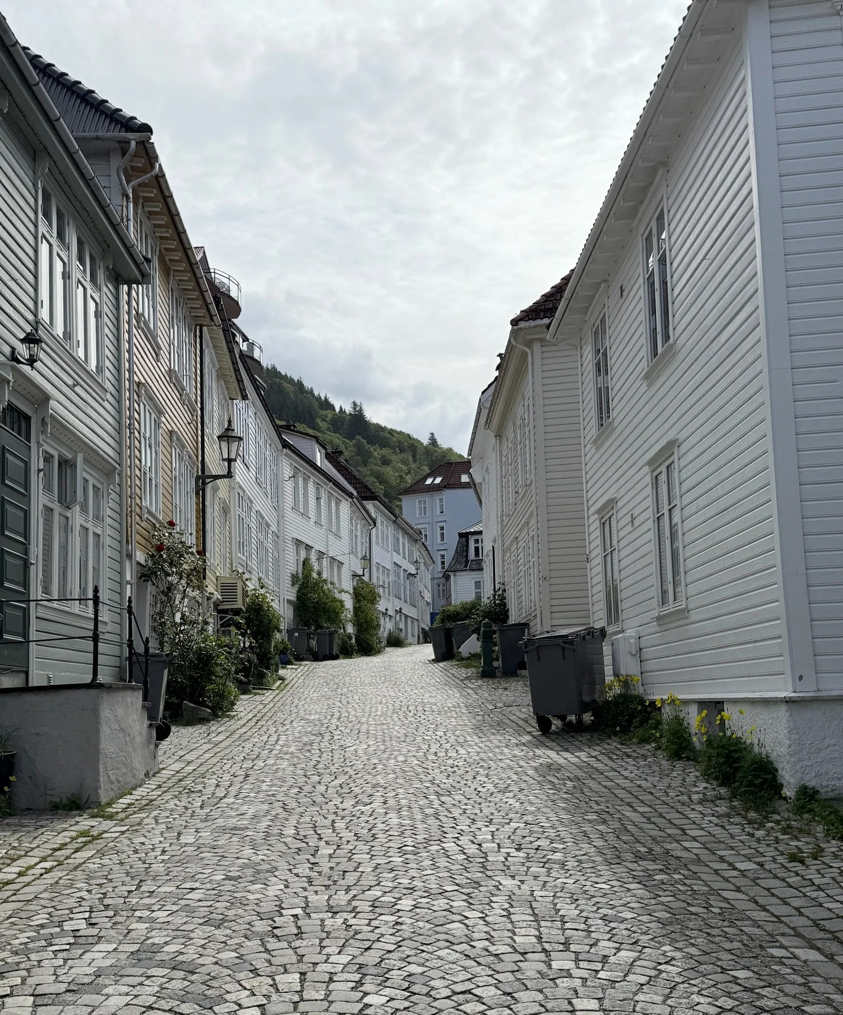 Private Walking Tour in Bergen Norway travel planner travel advisor