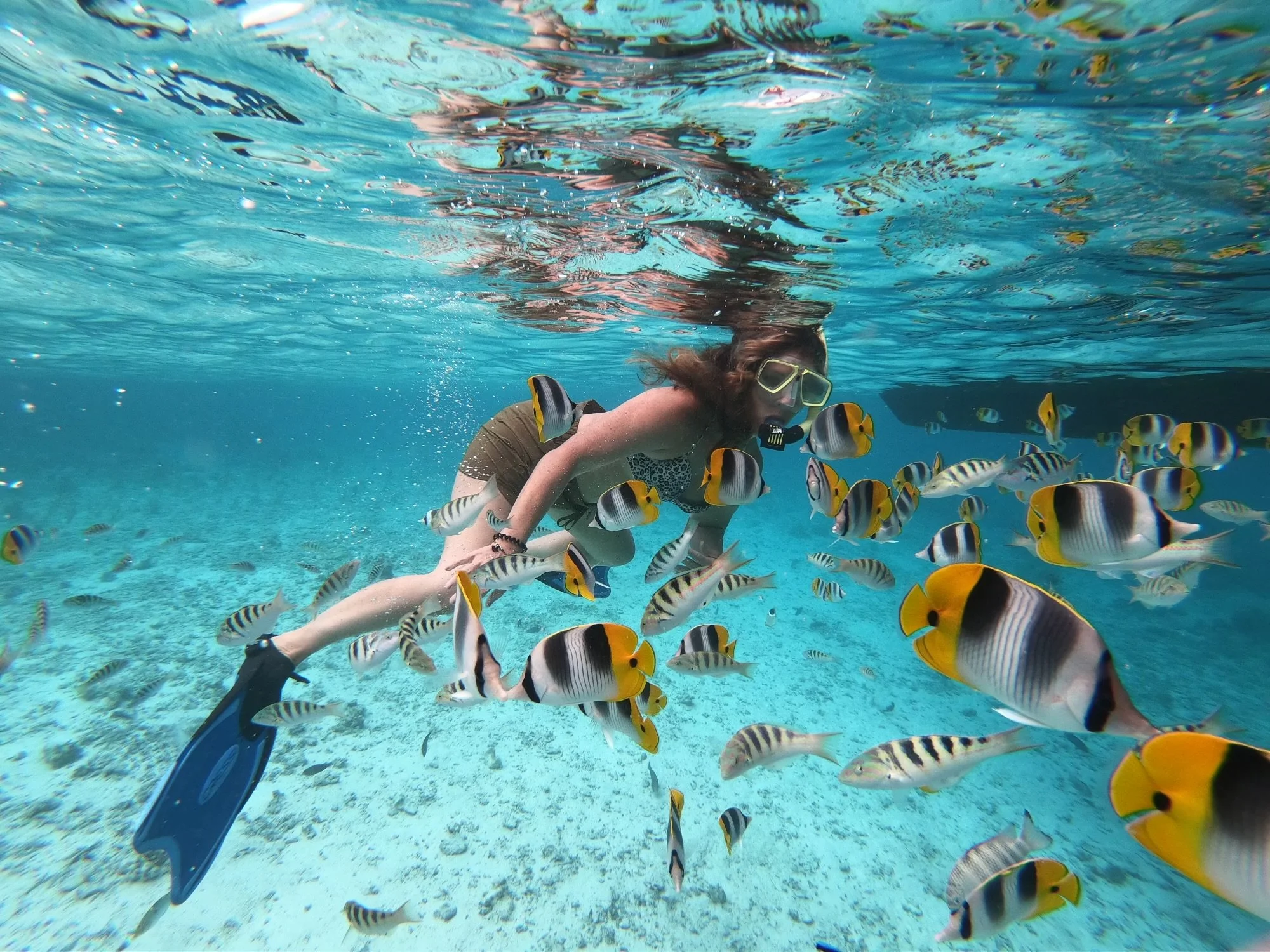 charlotte-travel-planner-family-vacation-planner-luxury-travel-agent