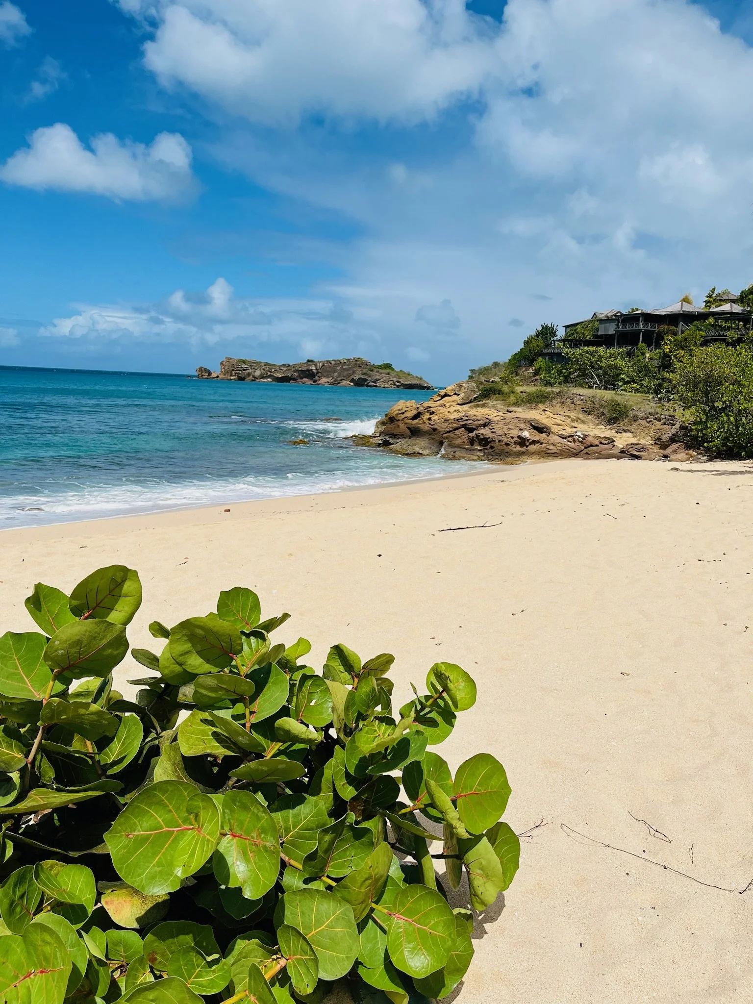 charlotte-travel-planner-family-vacation-planner-luxury-travel-agent