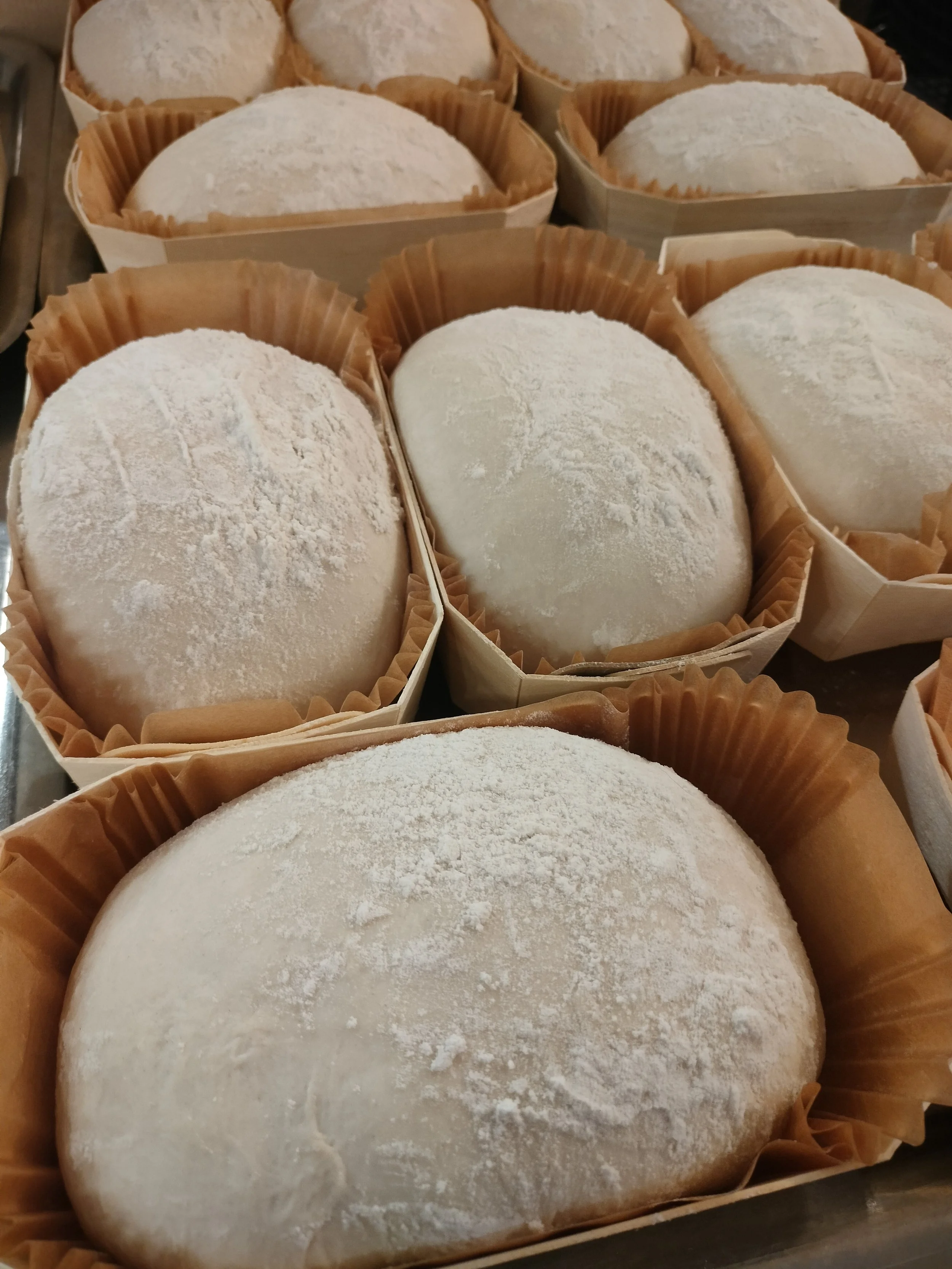 Tyhy-päivä PalkoPalkossa