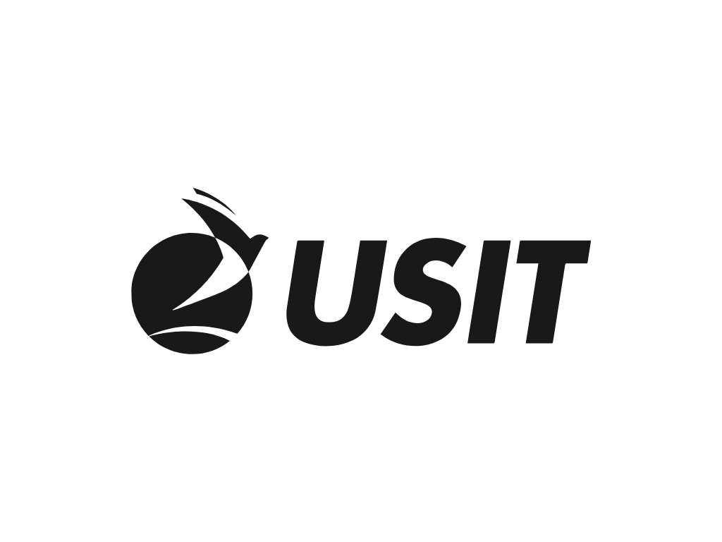 USIT logo with a stylized icon of a person in motion next to the text
