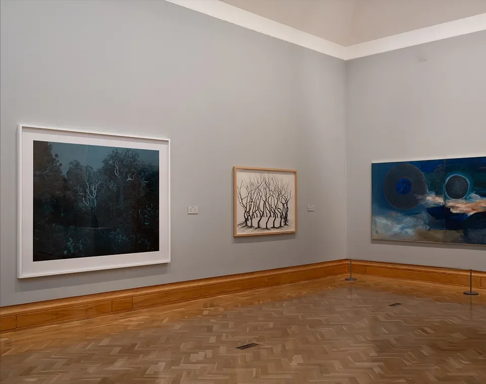 Ash Dieback, Moonlight, 2020